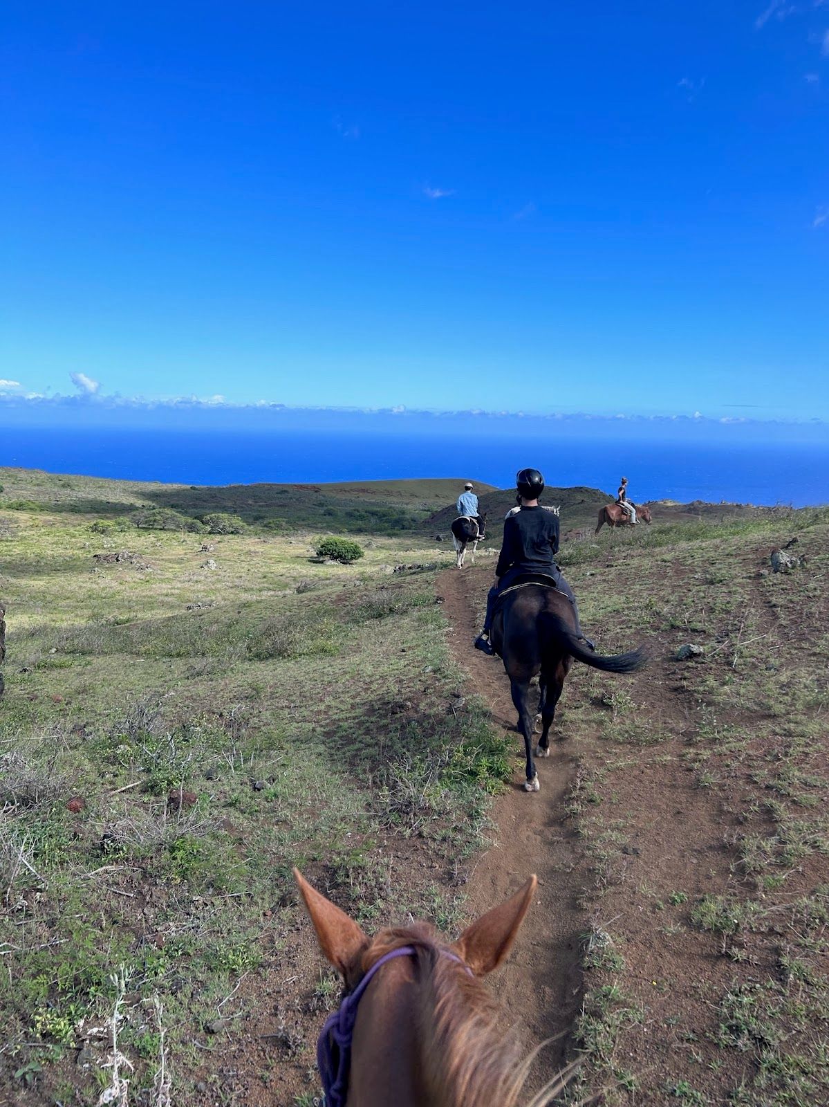 Photo 6 of Triple L Ranch Horseback Rides in Ulupalakua, Maui
