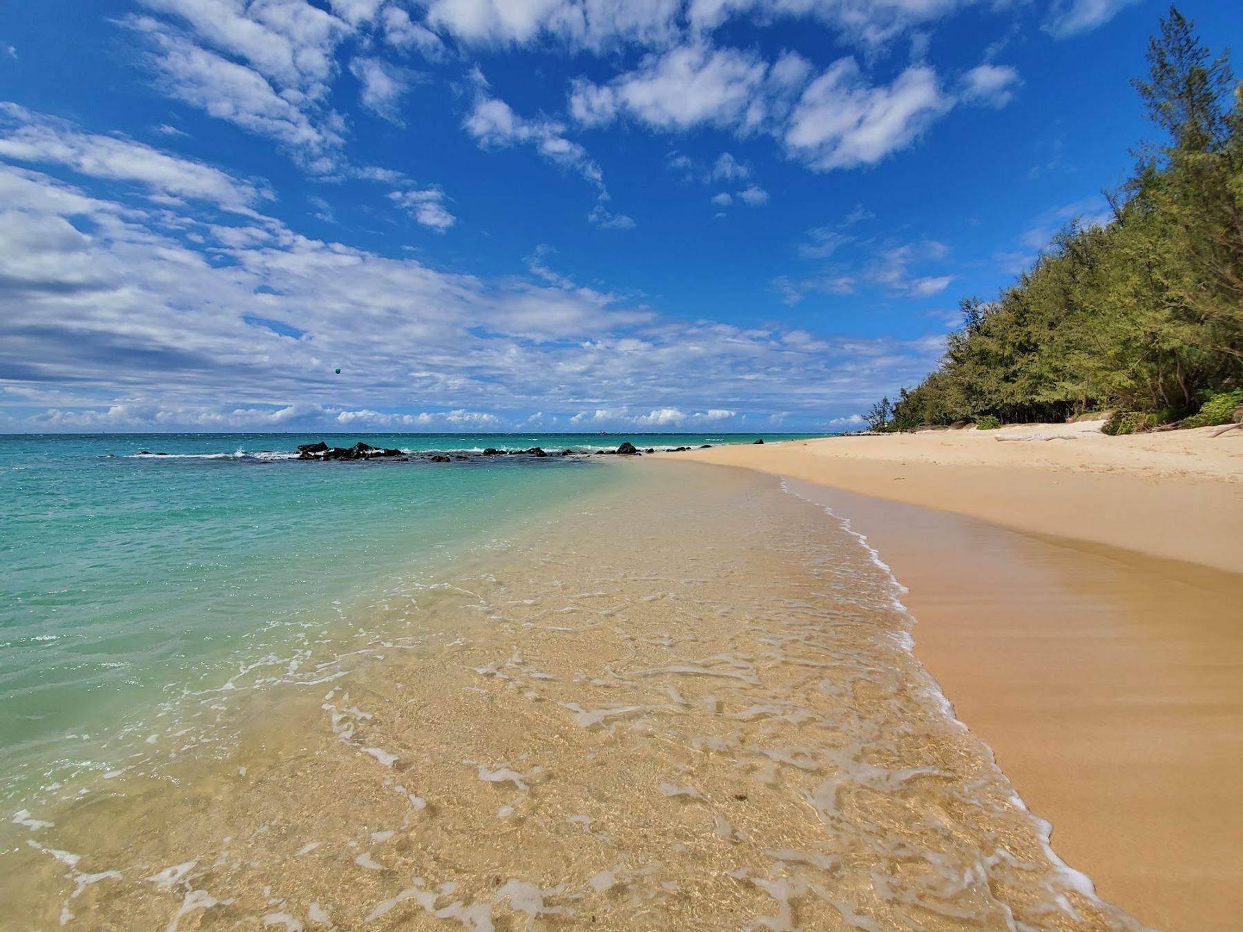 Photo 2 of Kanaha Beach Park in Kahului, Maui