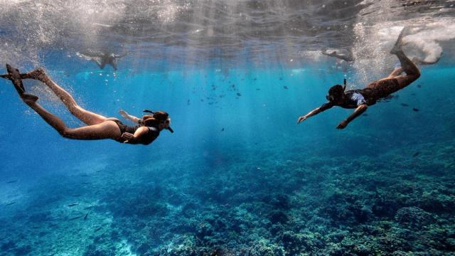 Photo 1 of Maui Snorkeling in Māʻalaea, Maui