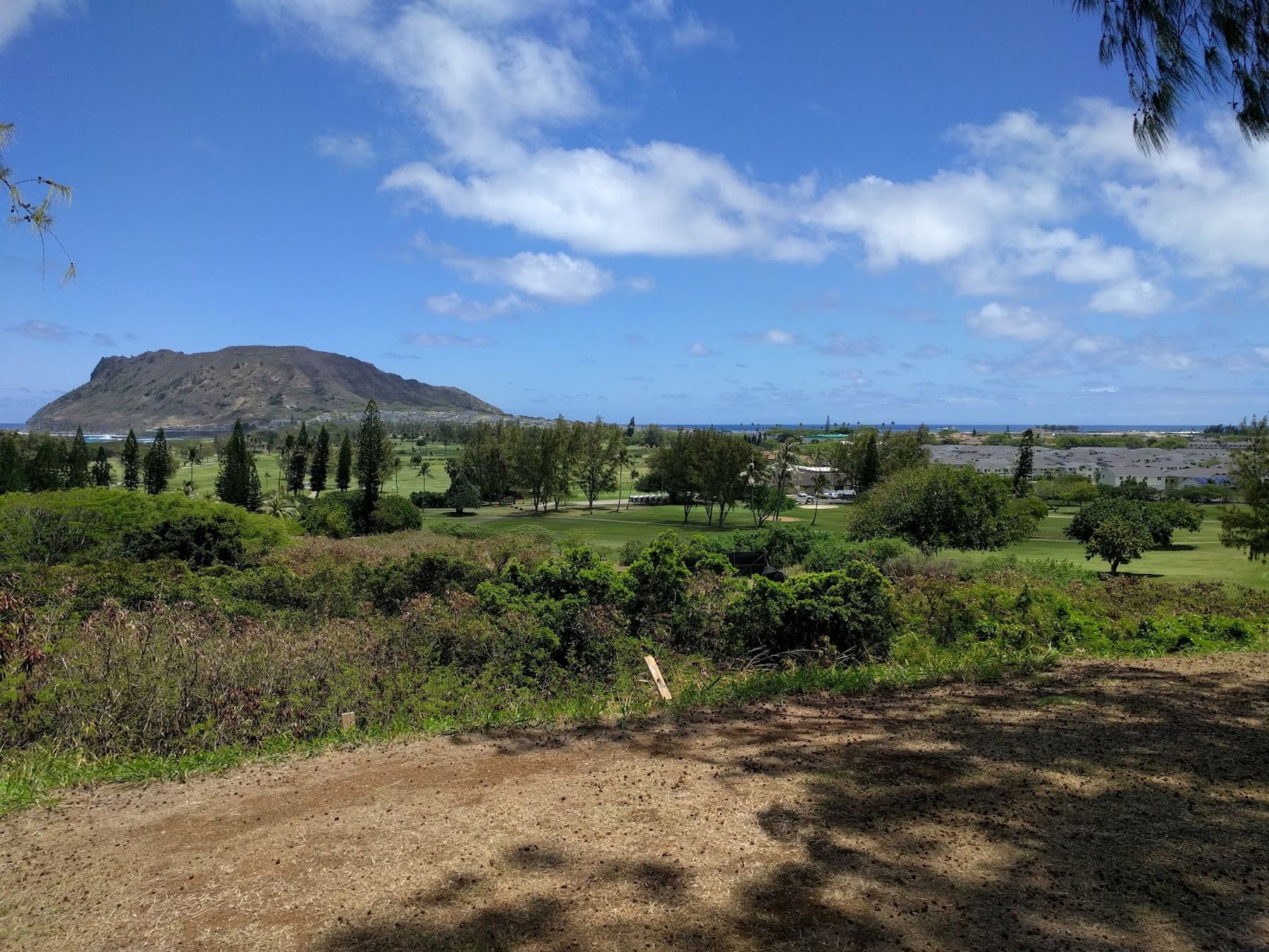 Photo 9 of 5 Palms in Kāneʻohe, Oahu