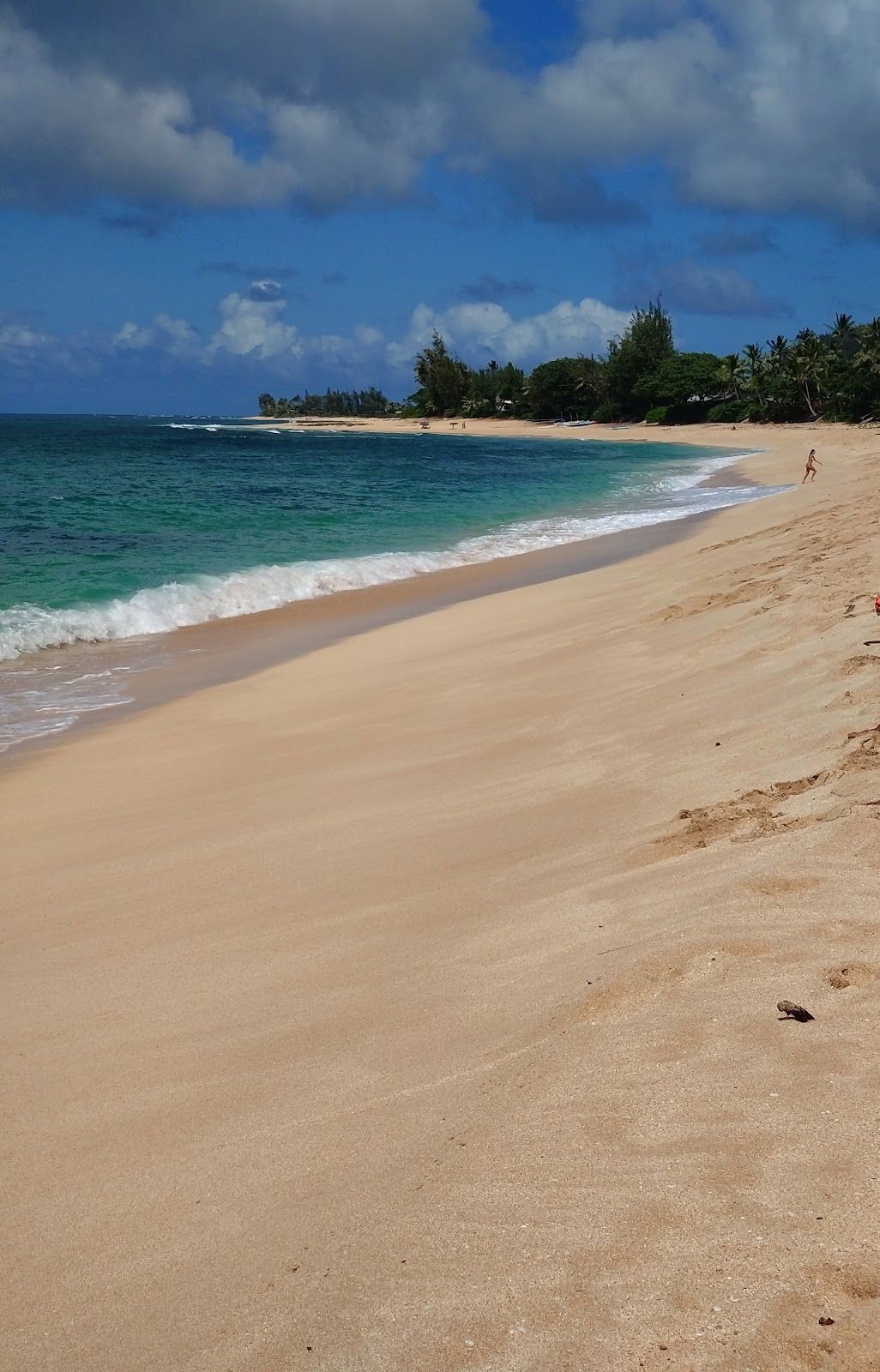 Photo 8 of ʻEhukai Beach Park in Pūpūkea, Oahu