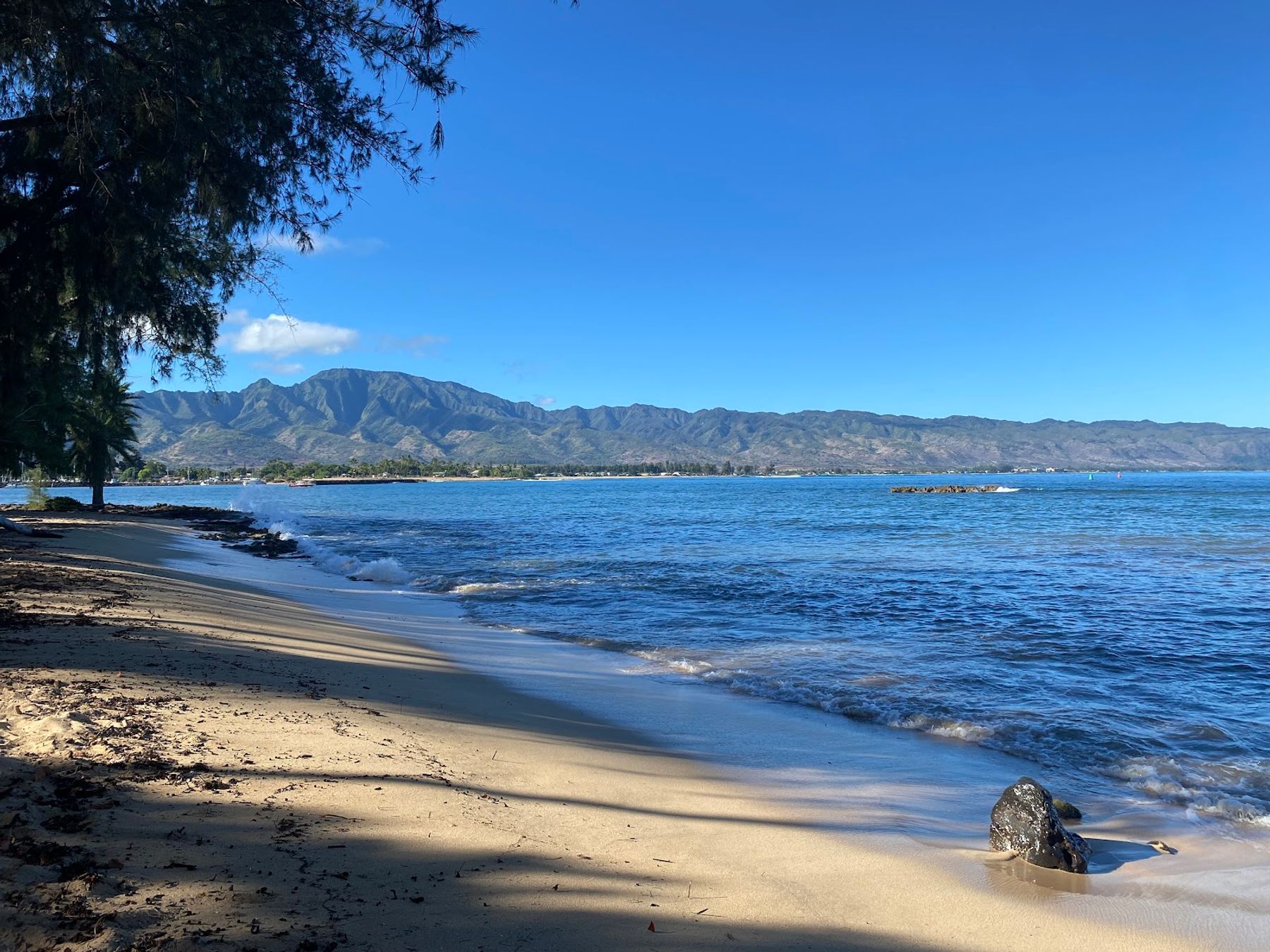 Photo 5 of Puaʻena Point Beach Park in Haleʻiwa, Oahu
