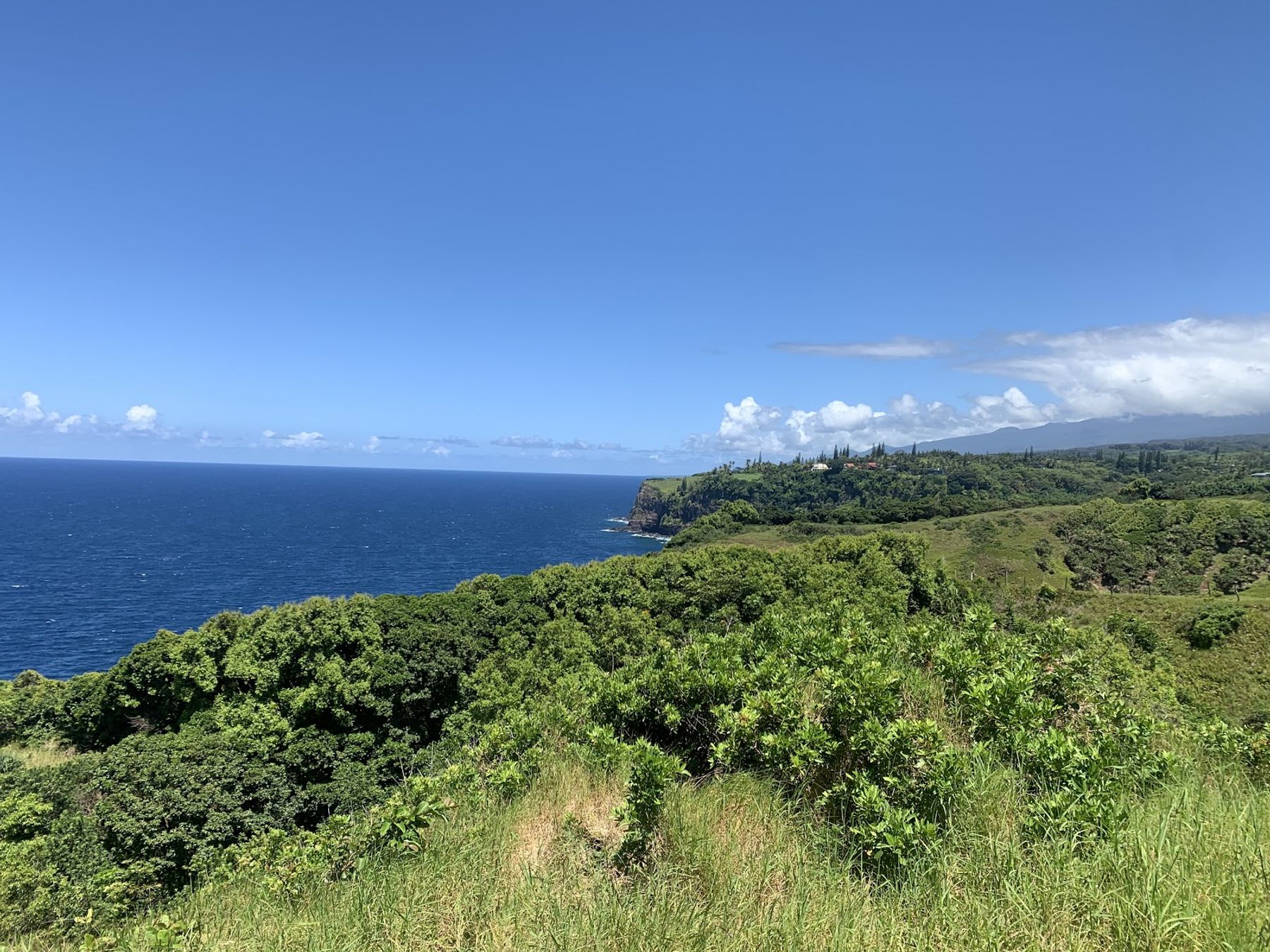 Photo 1 of Memorable Maui Tours in Wailea, Maui