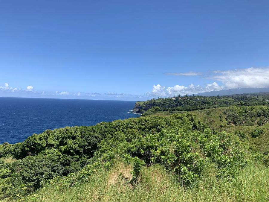 Photo 1 of Memorable Maui Tours in Wailea, Maui