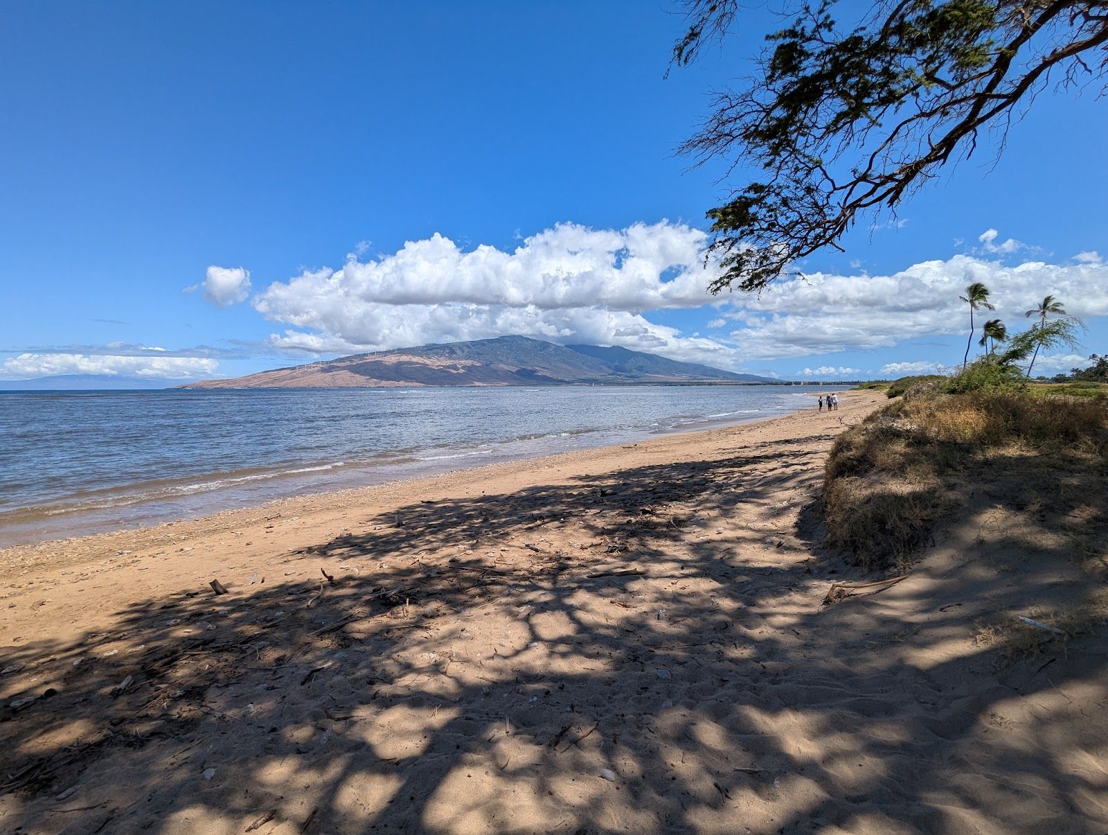 Photo 2 of Waipuilani Park in Kīhei, Maui