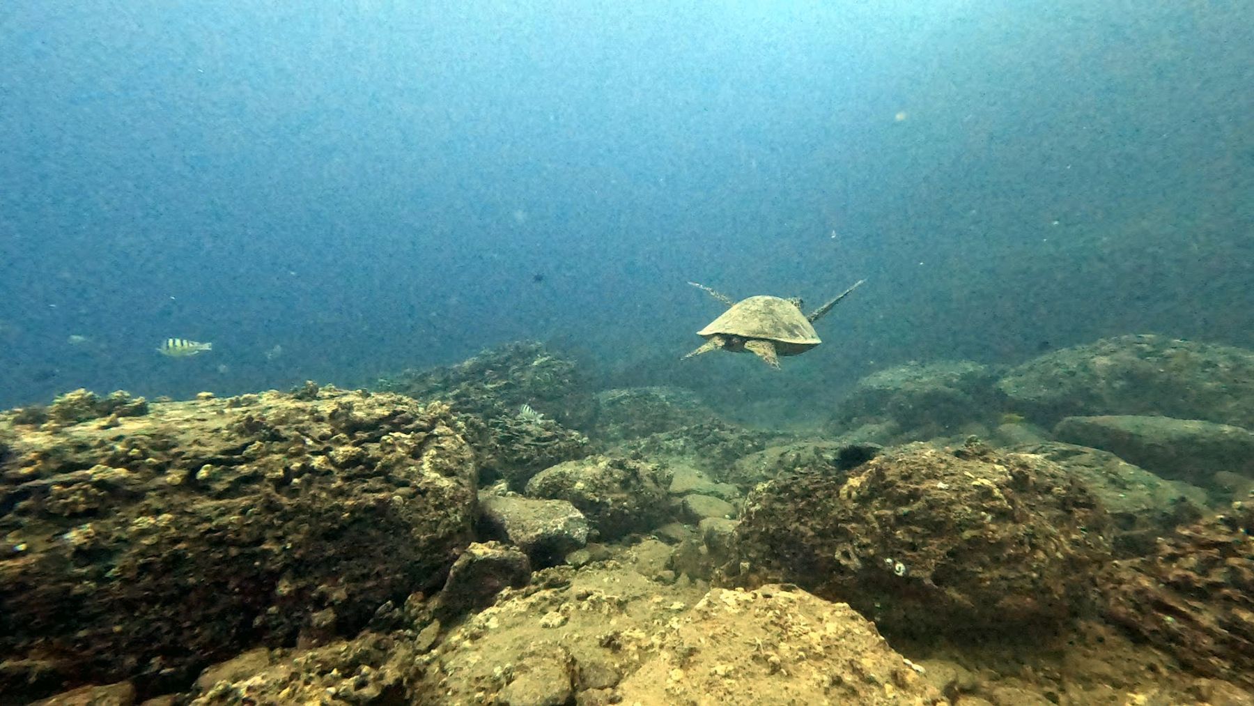 Photo 8 of Spitting Cave in Hawaiʻi Kai & East Honolulu, Oahu
