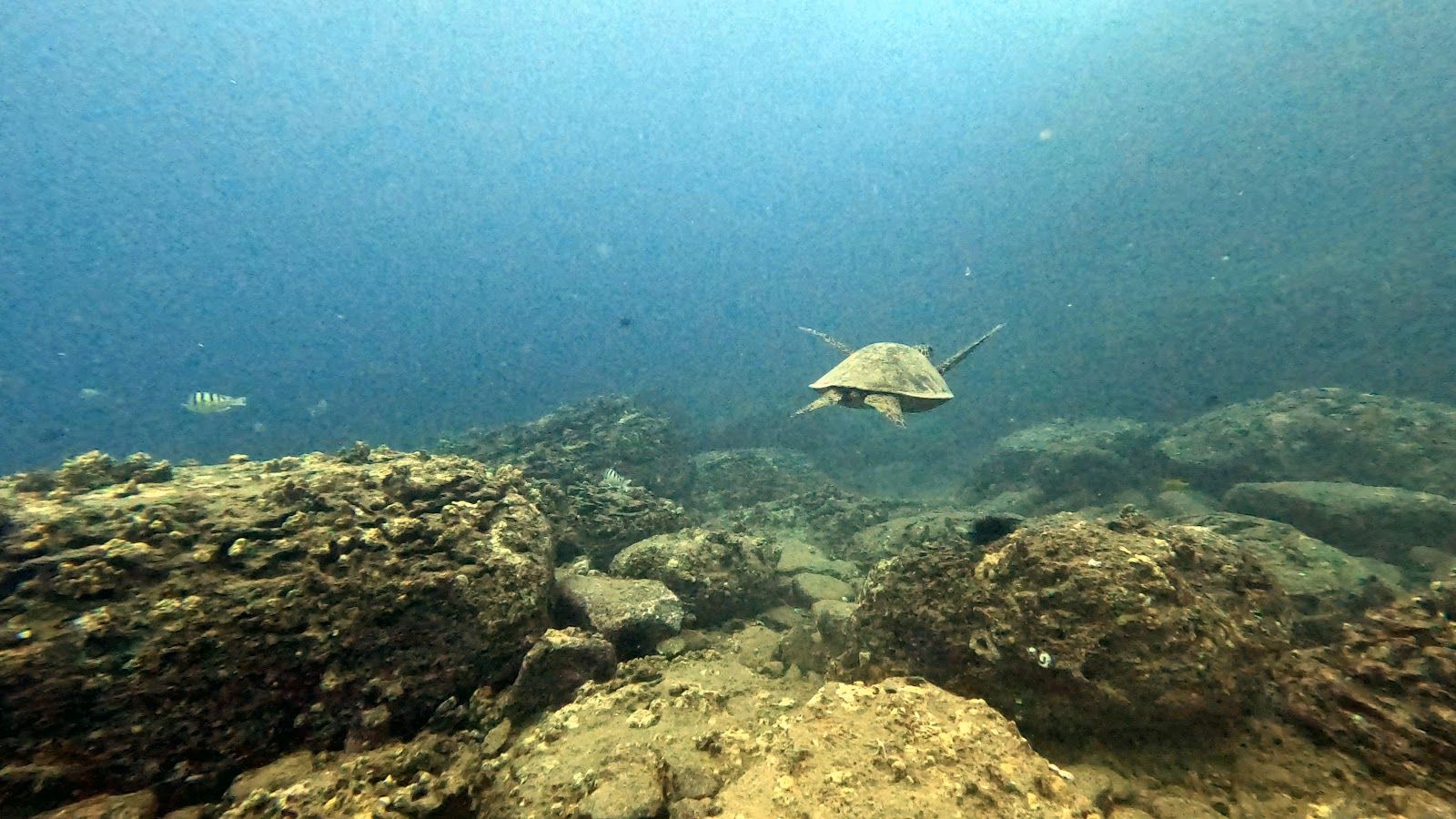 Photo 8 of Spitting Cave in Hawaiʻi Kai & East Honolulu, Oahu