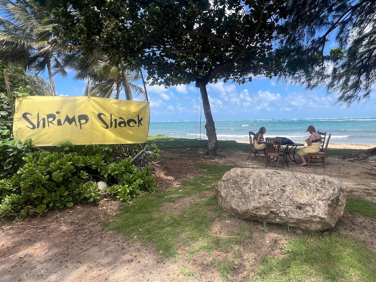 Photo 8 of Shrimp Shack in Kualoa & North Windward, Oahu