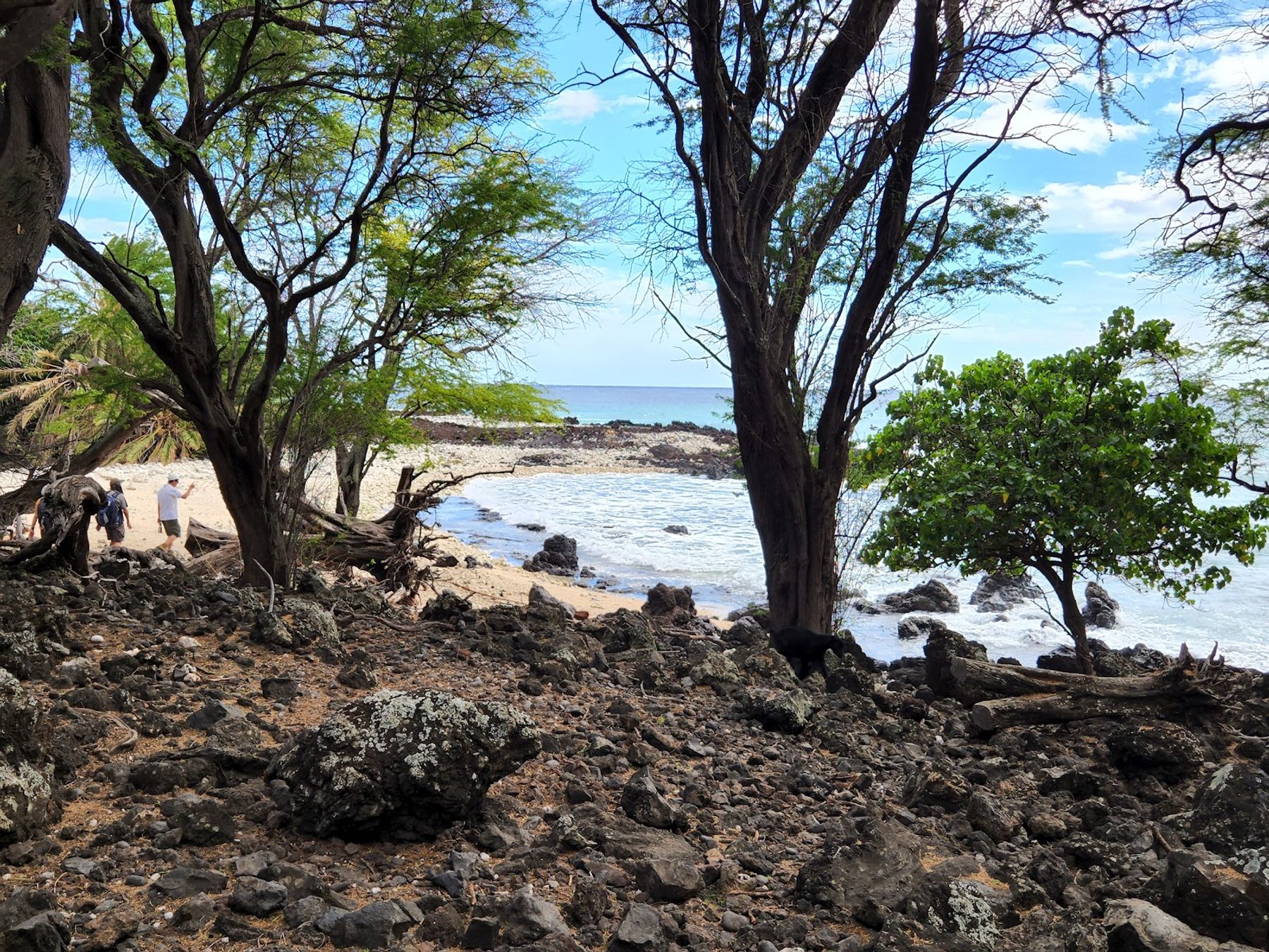 Photo 5 of Ahihi-Kinau Natural Reserve in Mākena, Maui
