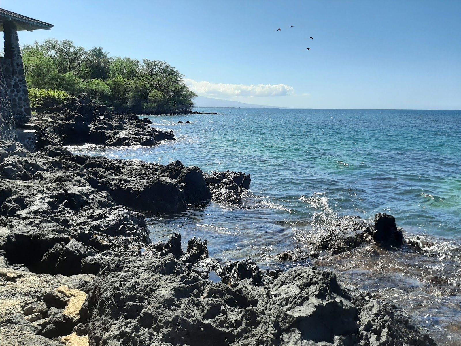 Photo 9 of Spencer Beach Park in Mauna Kea Beach, Big Island