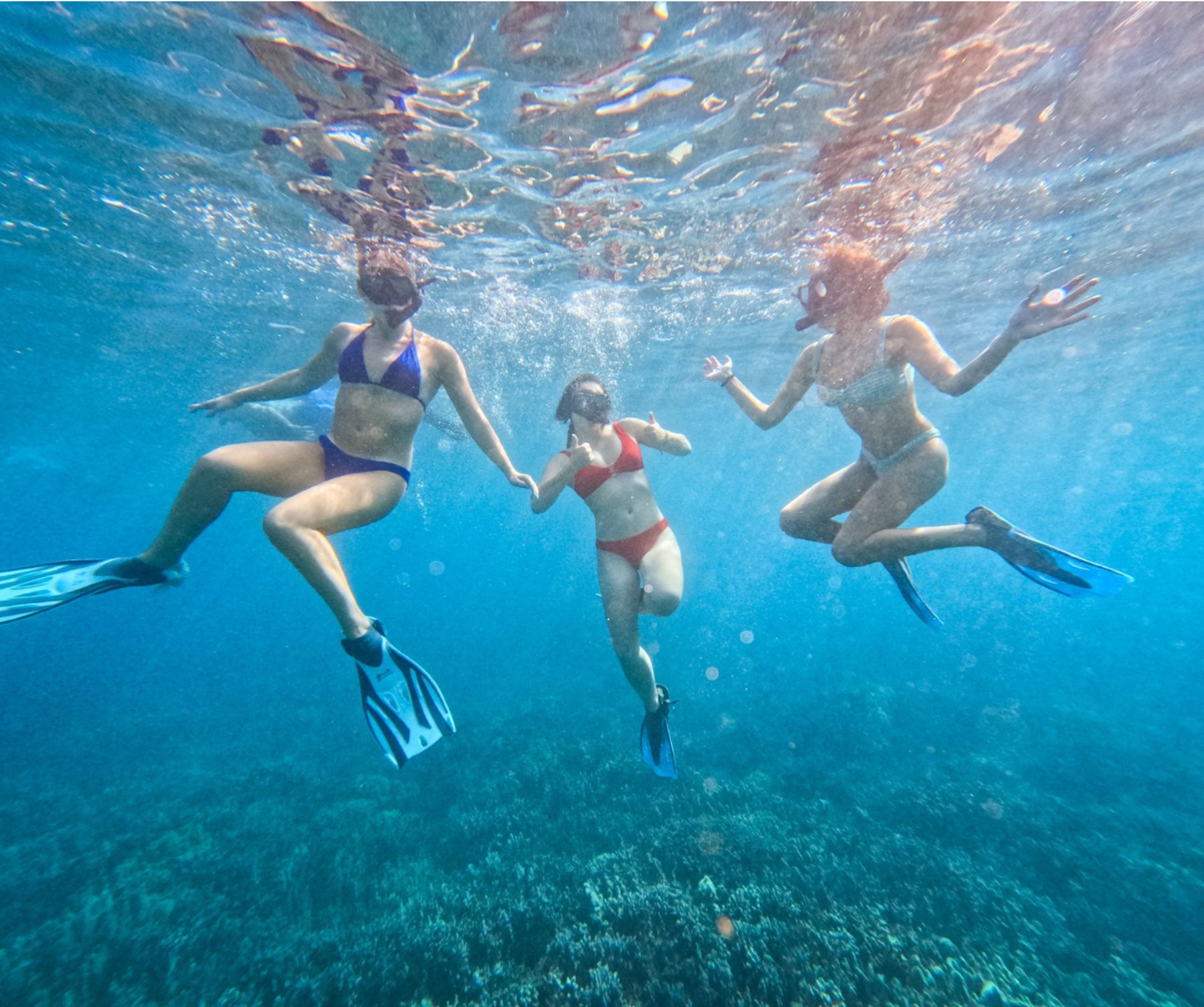 Photo 8 of Maui Stand Up Paddle Adventures in Kīhei, Maui