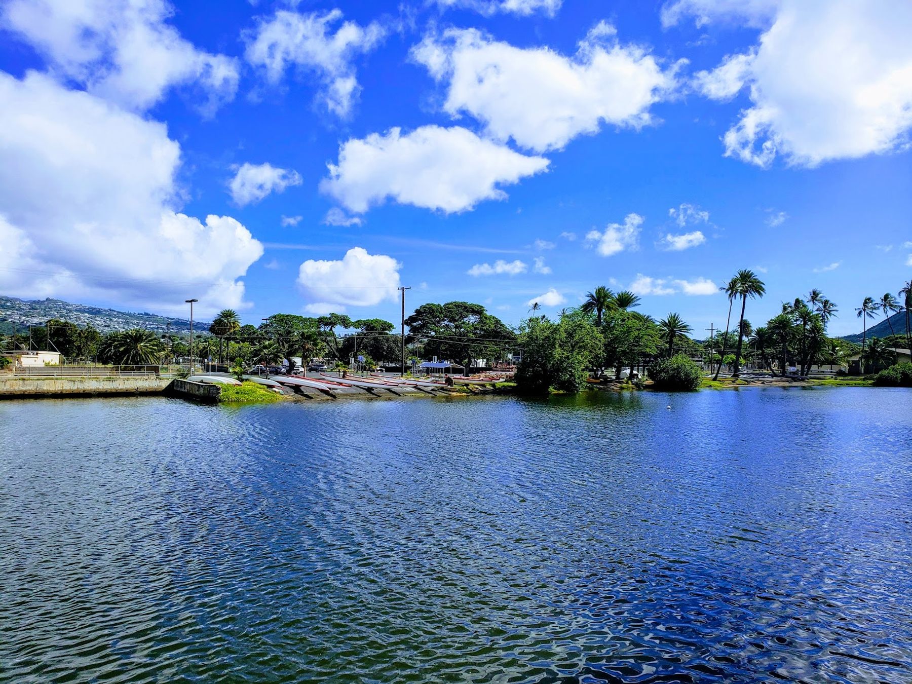 Photo 7 of Ala Wai Golf Course in Diamond Head & Kapahulu, Oahu