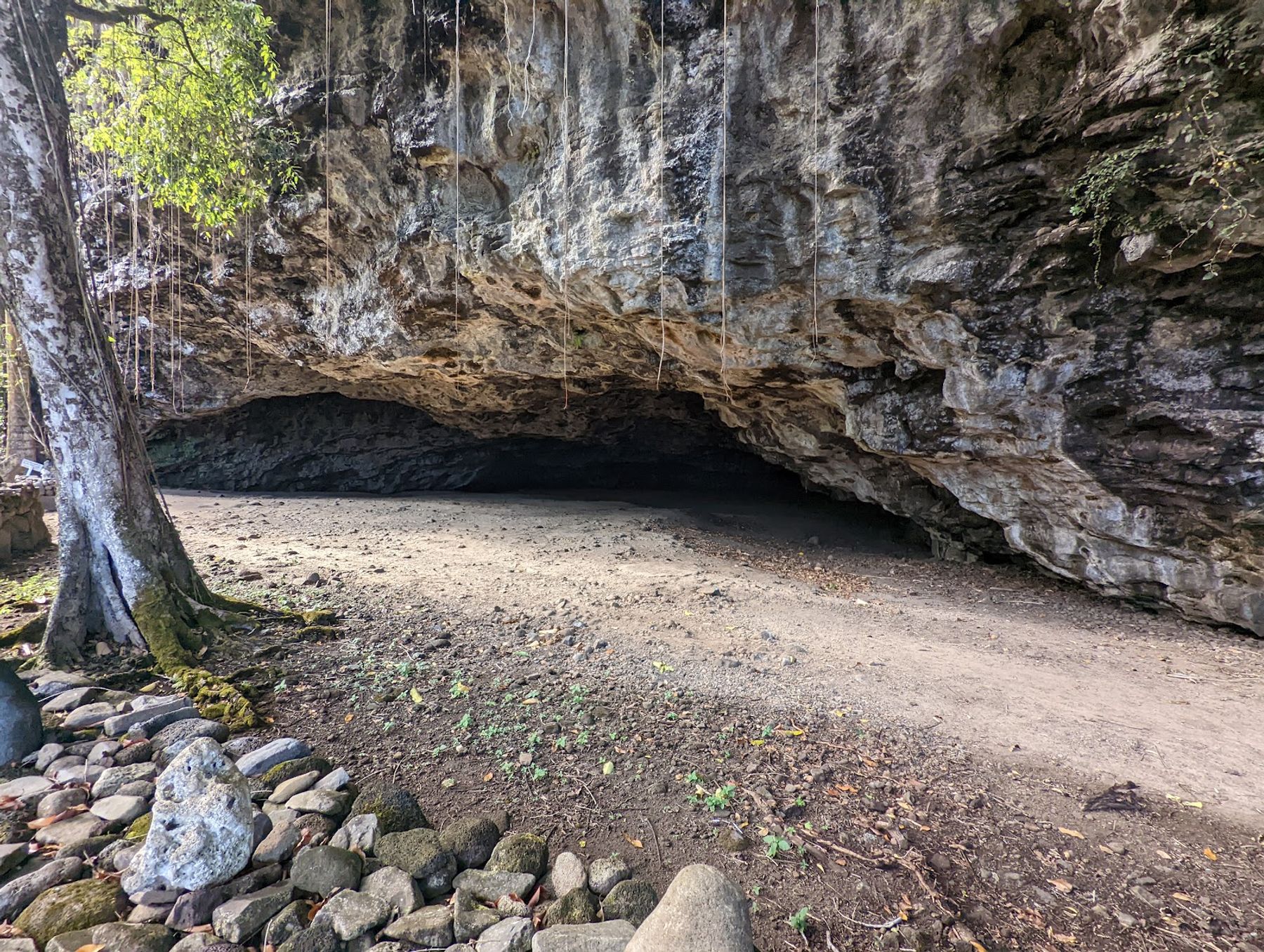 Tunnels Beach (Makua) in Haena, Kaua‘i photo 6