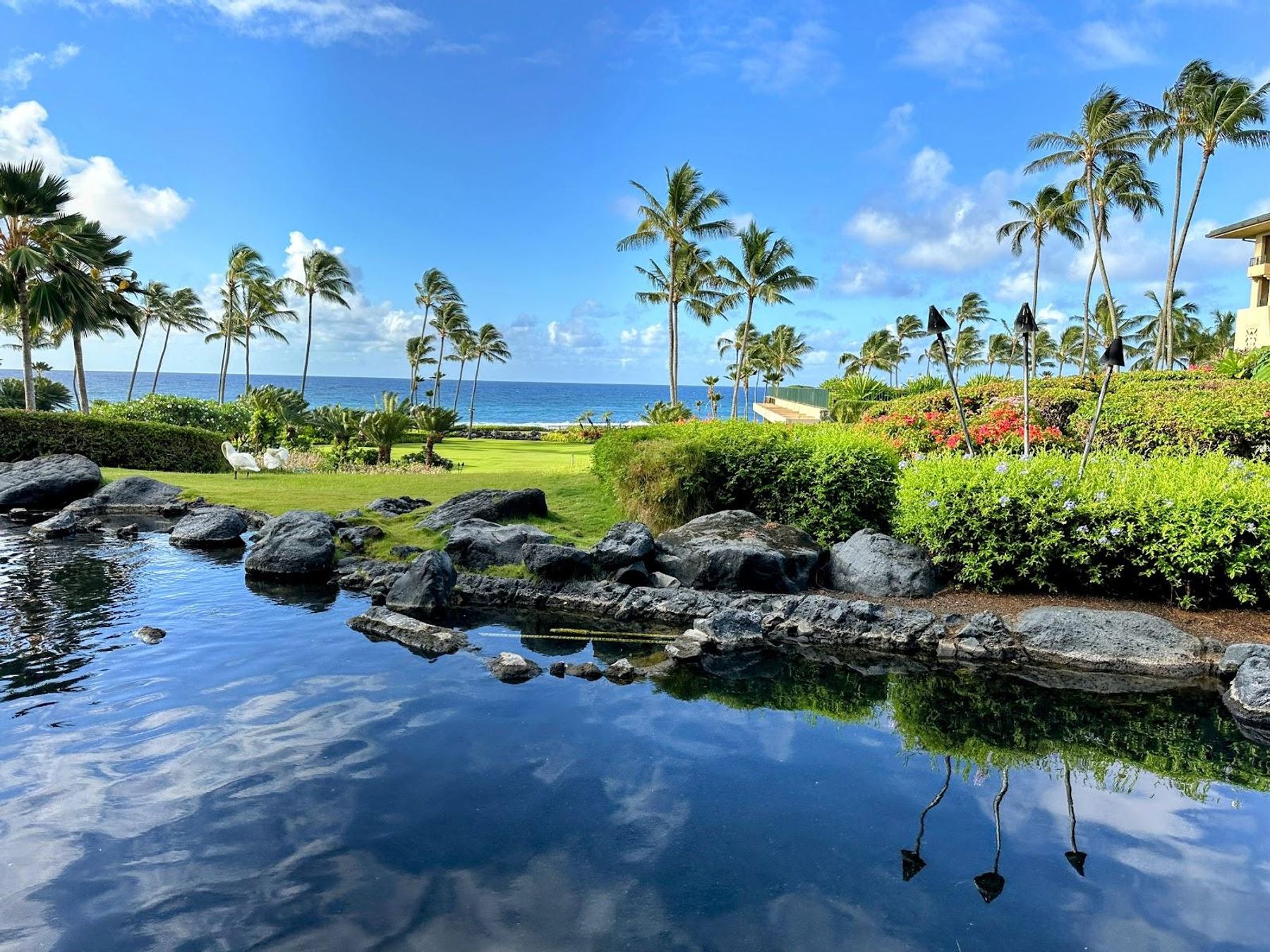 Ilima Terrace Restaurant restaurant in Poʻipū, Kaua‘i photo 3