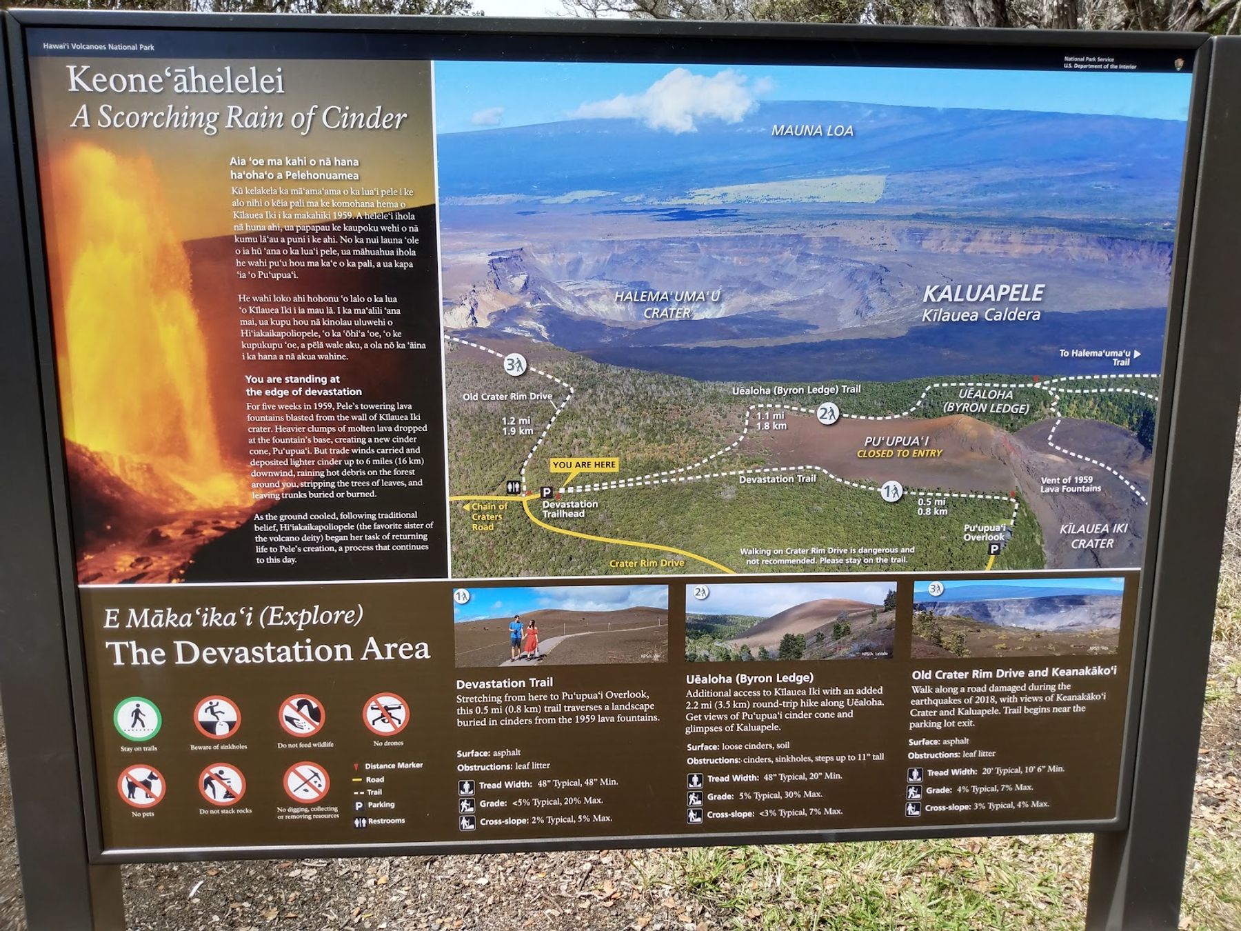 Photo 10 of Devastation Trail in Volcano, Big Island