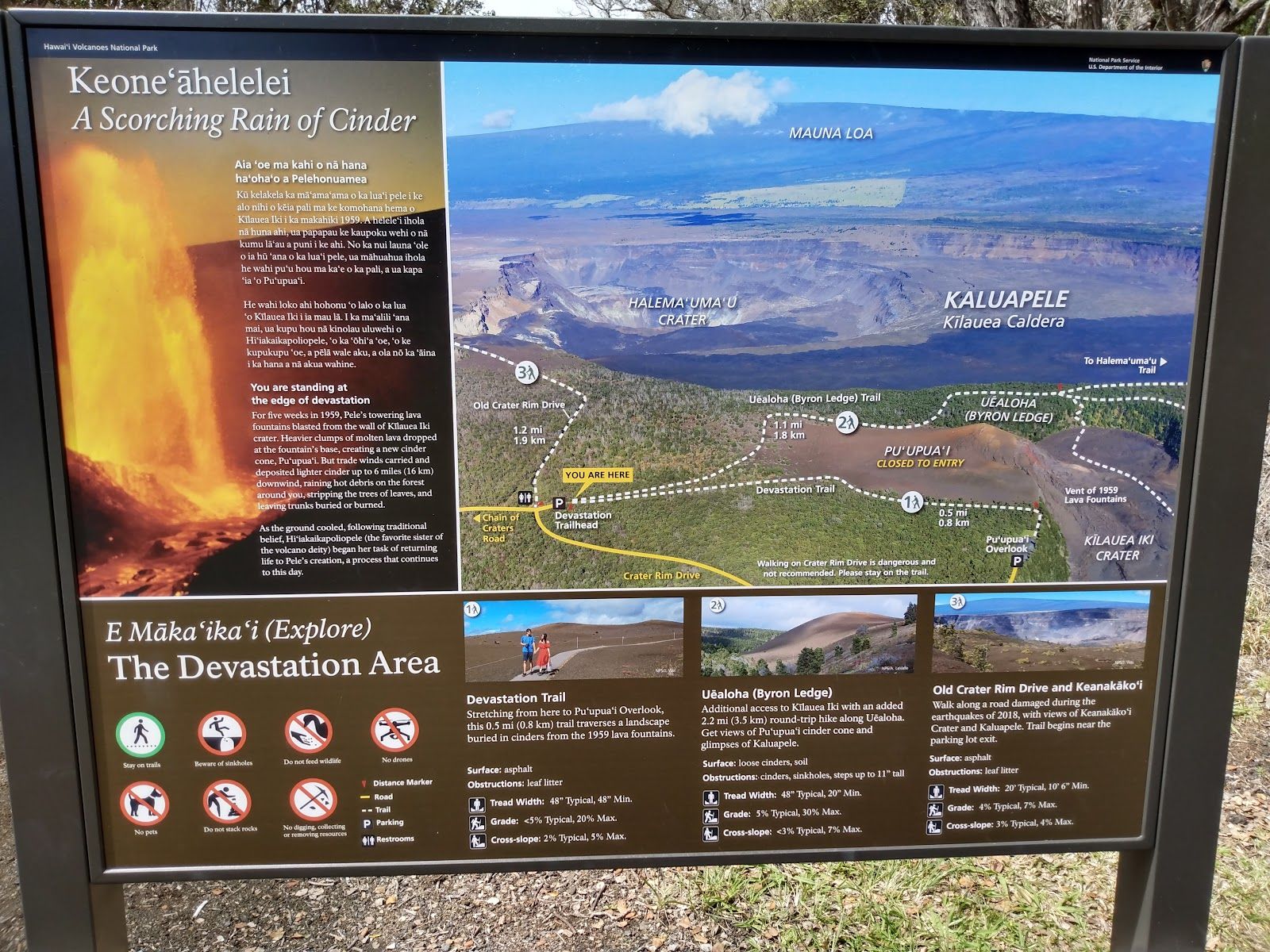 Photo 10 of Devastation Trail in Volcano, Big Island