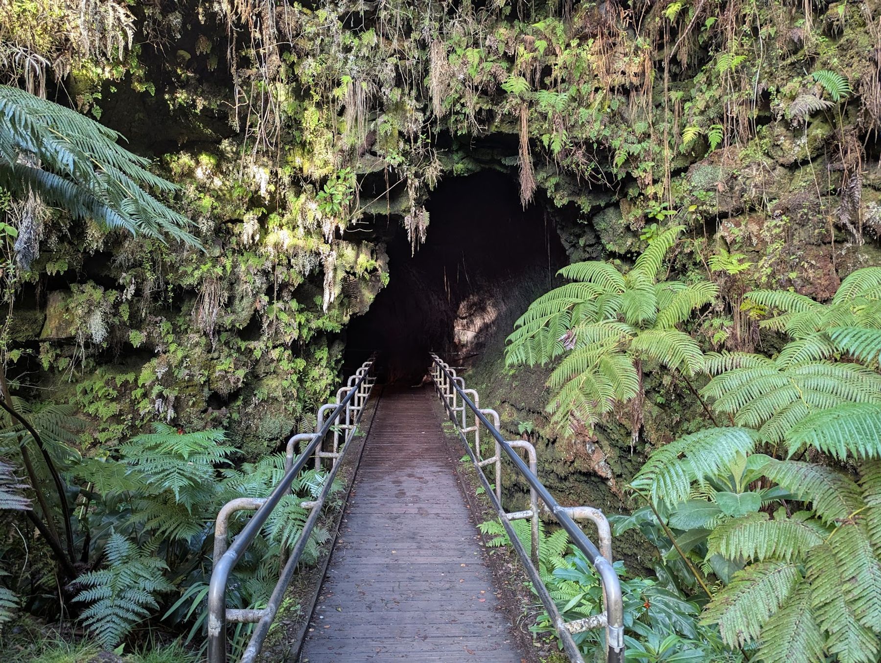 Photo 7 of Big Island Backroad Adventures in Hōlualoa, Big Island