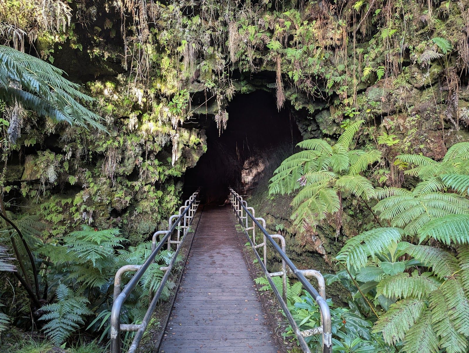 Photo 7 of Big Island Backroad Adventures in Hōlualoa, Big Island