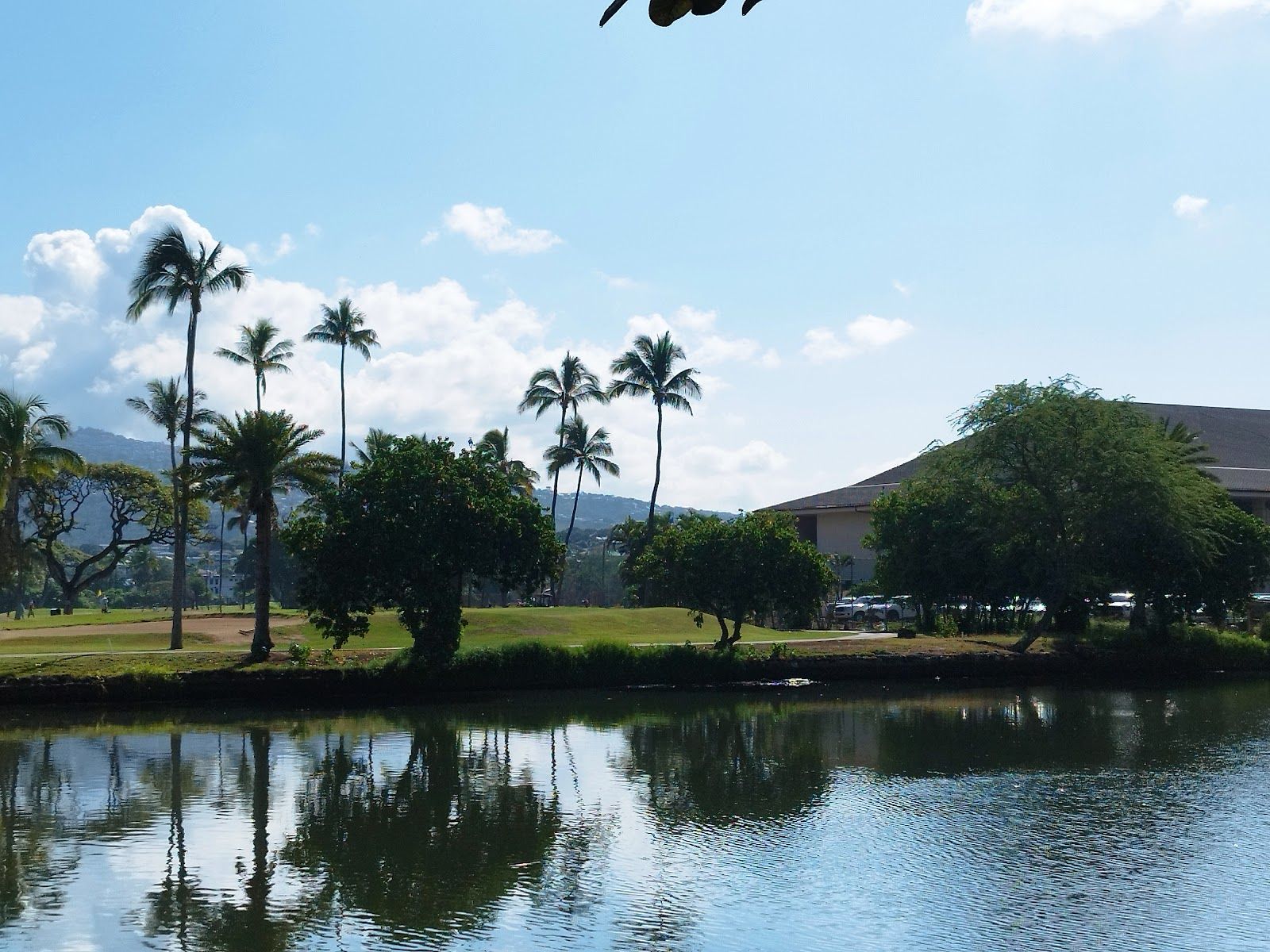 Photo 4 of Ala Wai Golf Course in Diamond Head & Kapahulu, Oahu