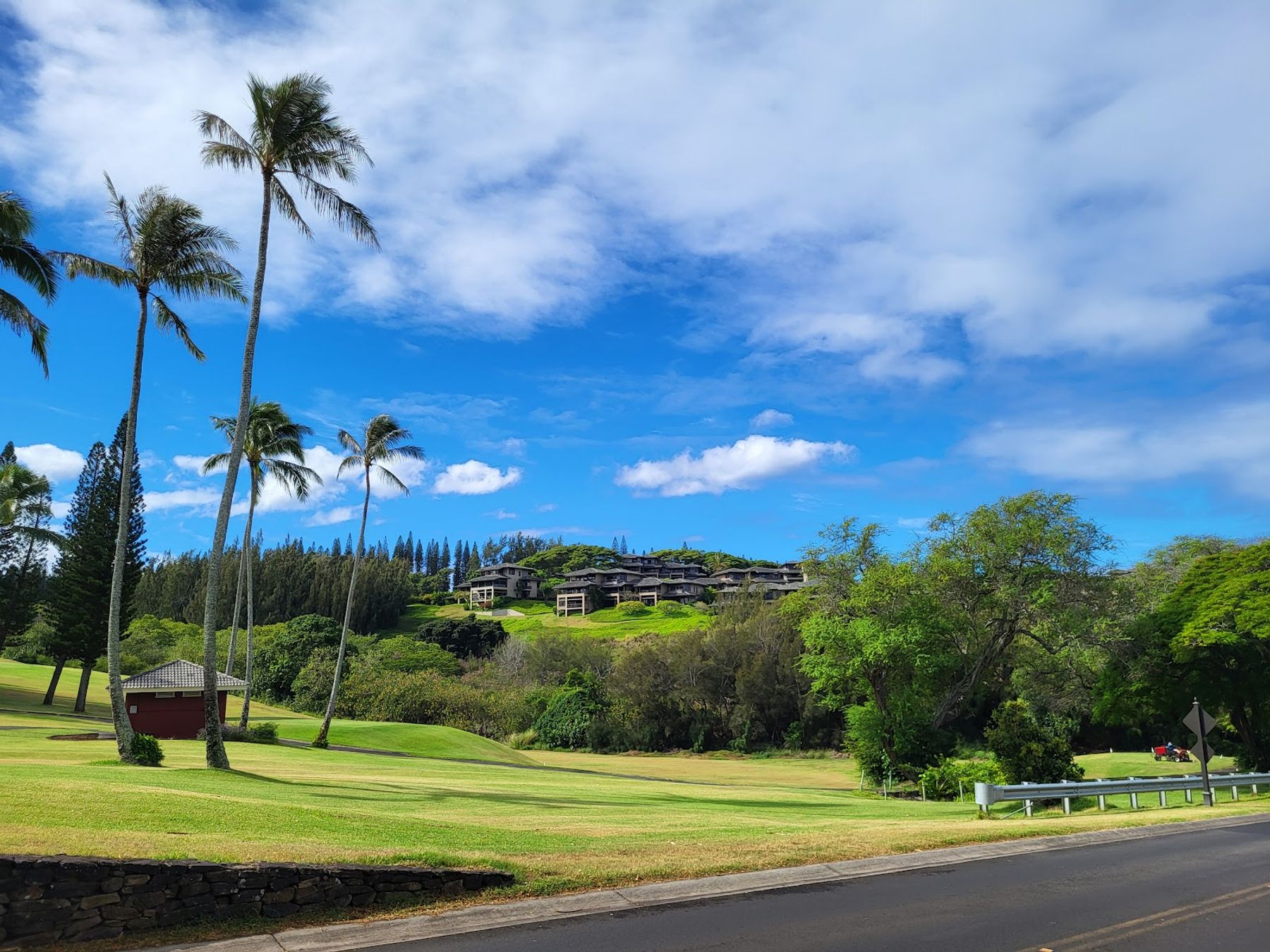 Photo 6 of Dragon's Teeth Access Trail, Kapalua in Kapalua, Maui
