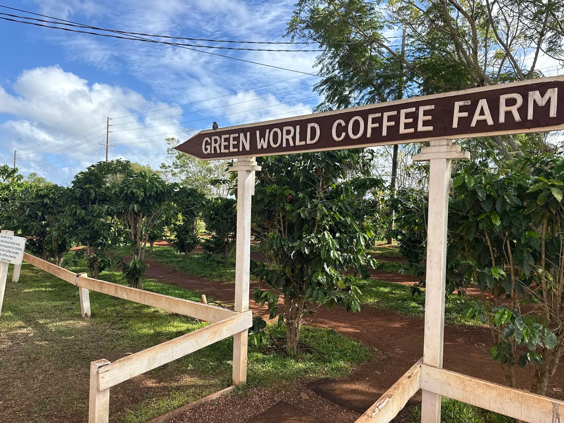 Photo 3 of Green World Coffee Farm in Wahiawā, Oahu