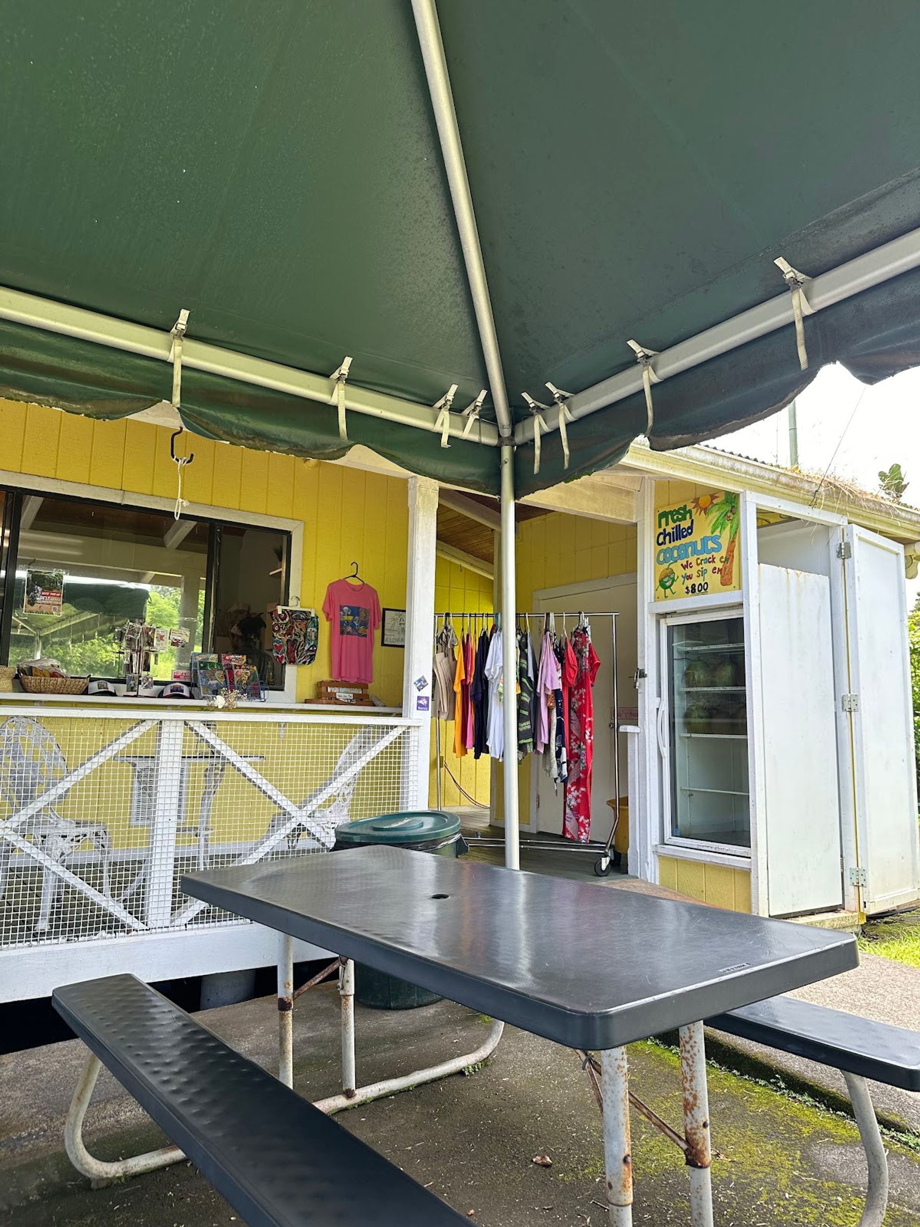 Photo 8 of What's Shakin' in Greater Hilo, Big Island