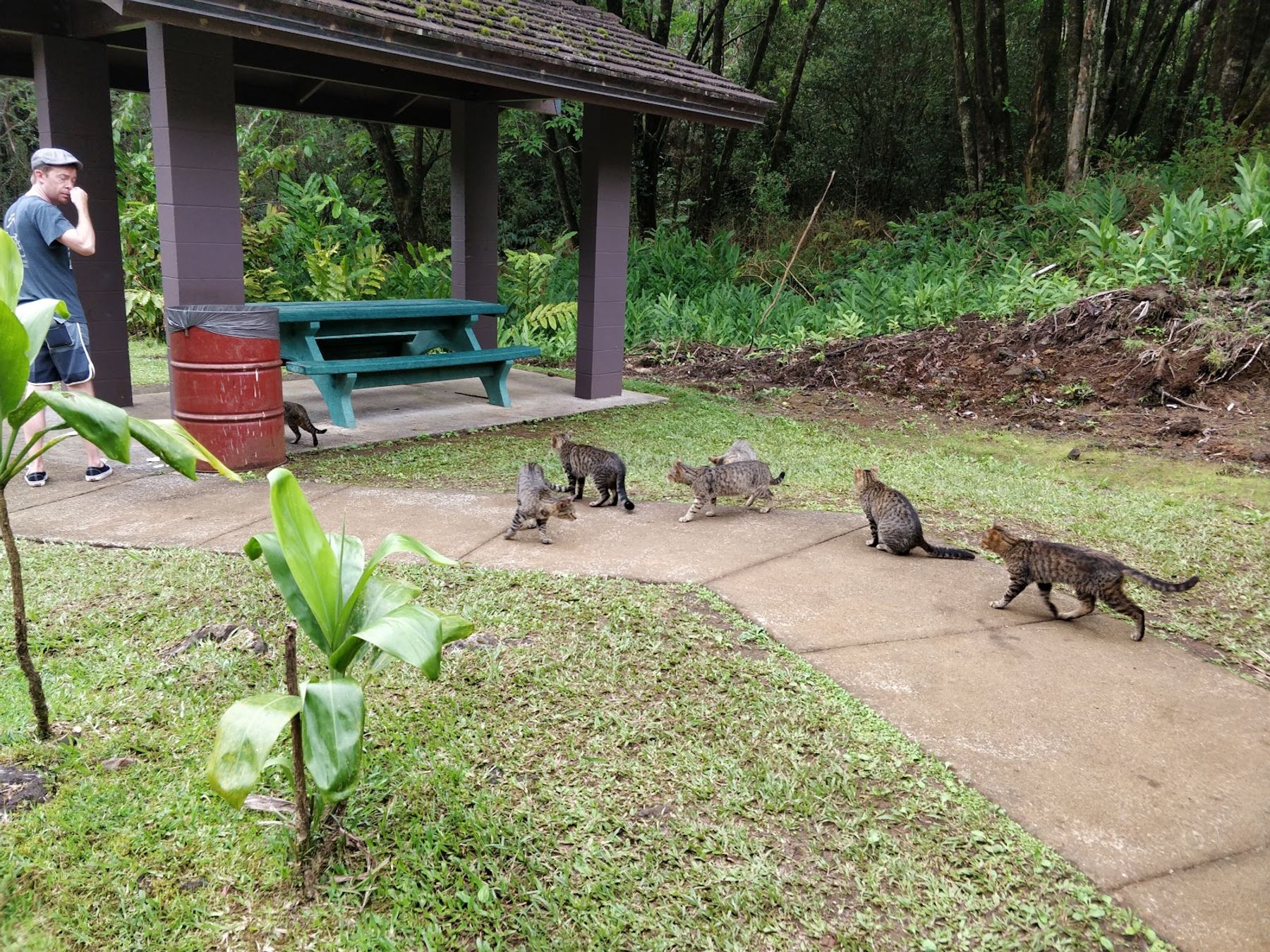 Photo 5 of Pua'a Ka'a State Wayside in Keʻanae-Nāhiku, Maui