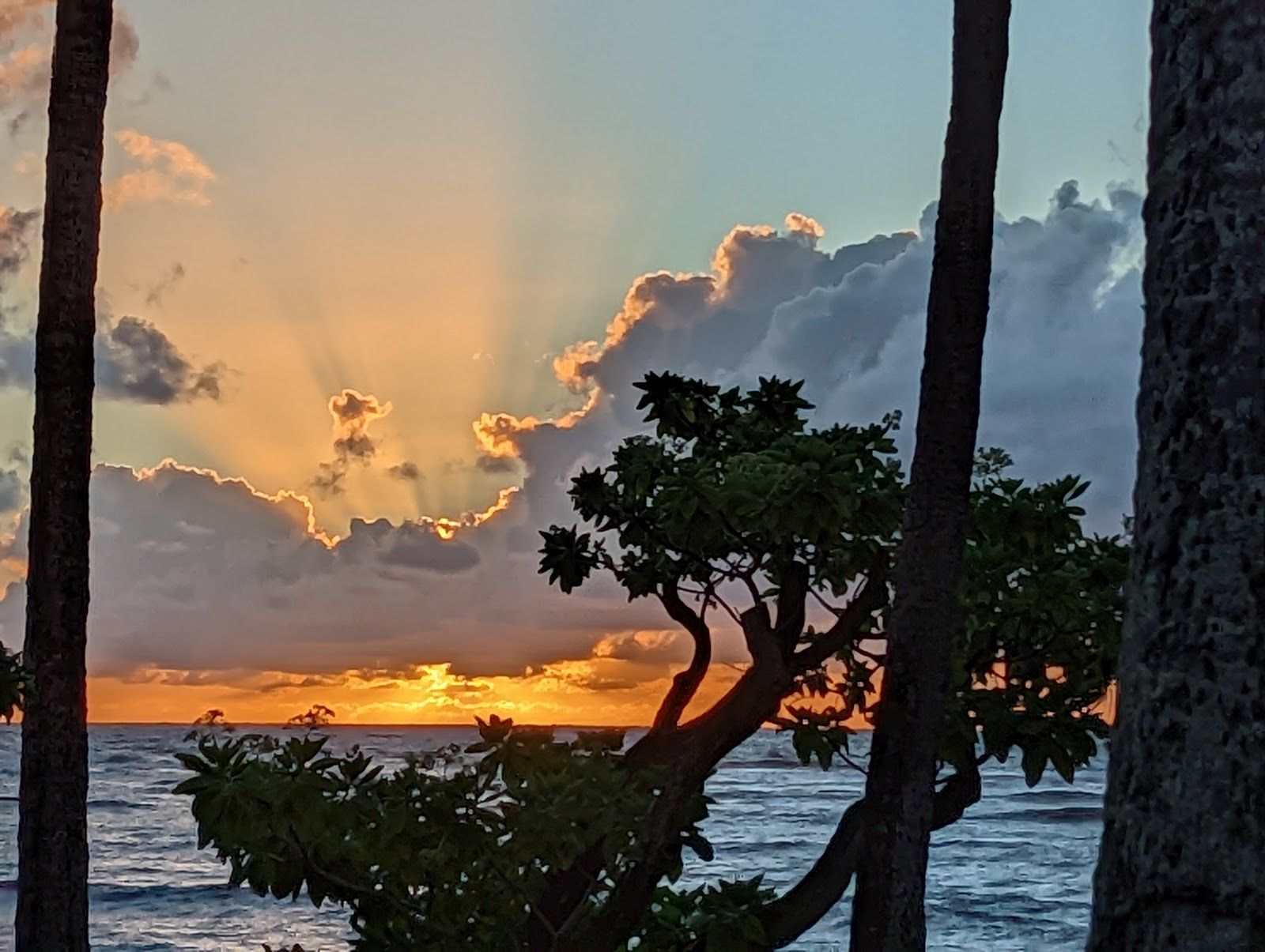 WorldMark Kapaa Shore lodging in Kapaʻa, Kaua‘i photo 4