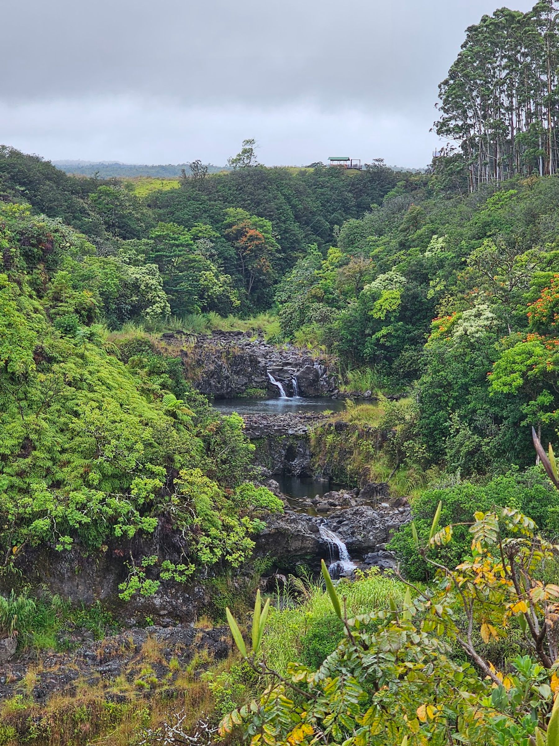 Photo 4 of The Umauma Experience in Greater Hilo, Big Island