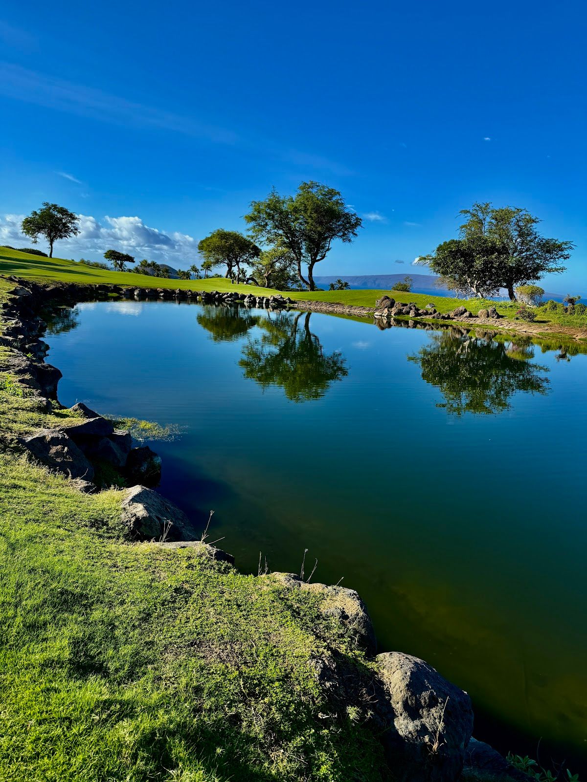 Photo 5 of Emerald Golf Course in Wailea, Maui