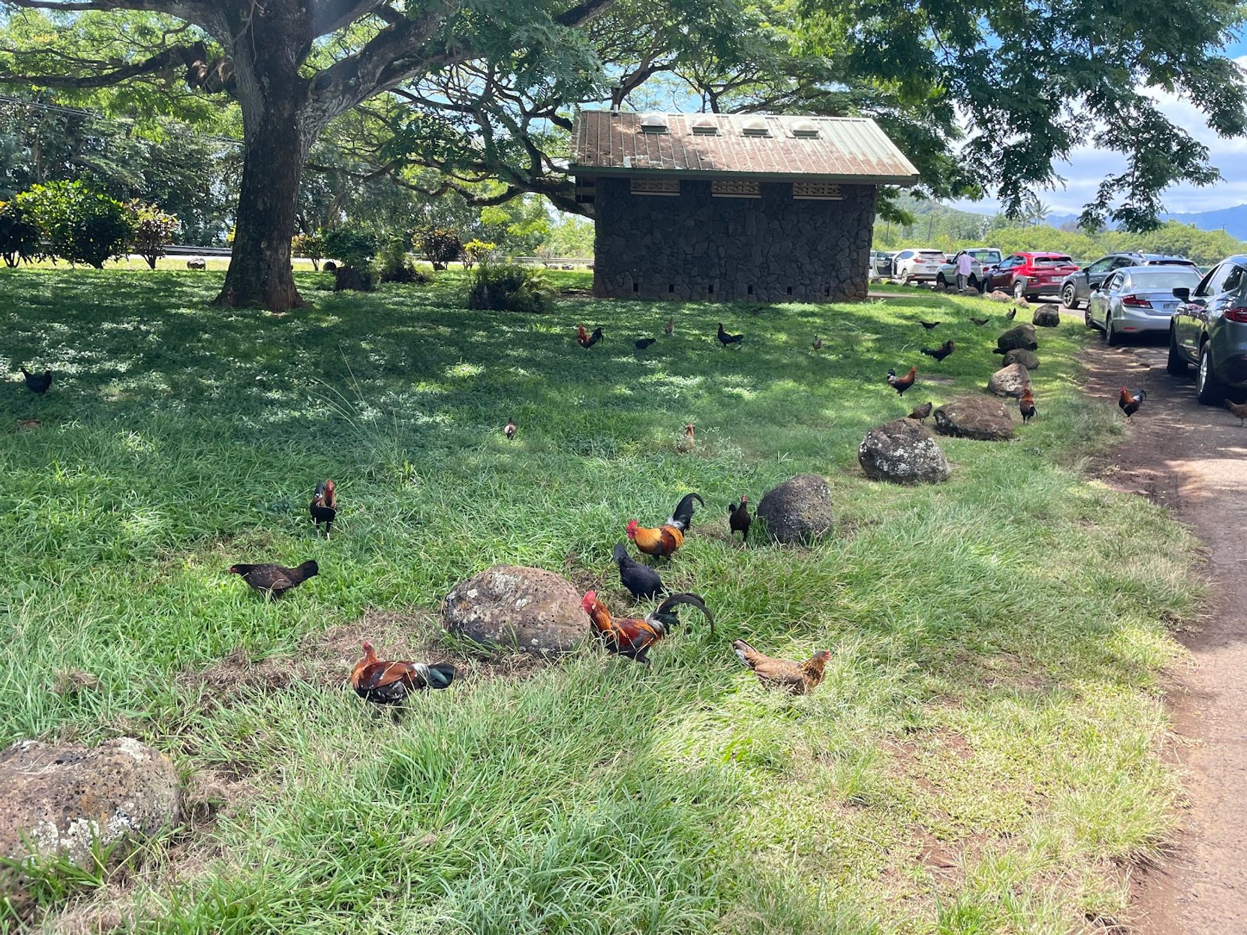 Opaeka'a Falls in Wailua Homesteads, Kaua‘i photo 4