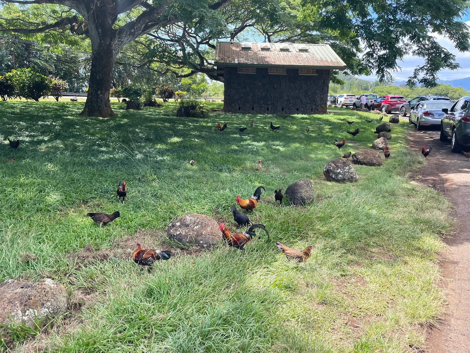 Opaeka'a Falls in Wailua Homesteads, Kaua‘i photo 4