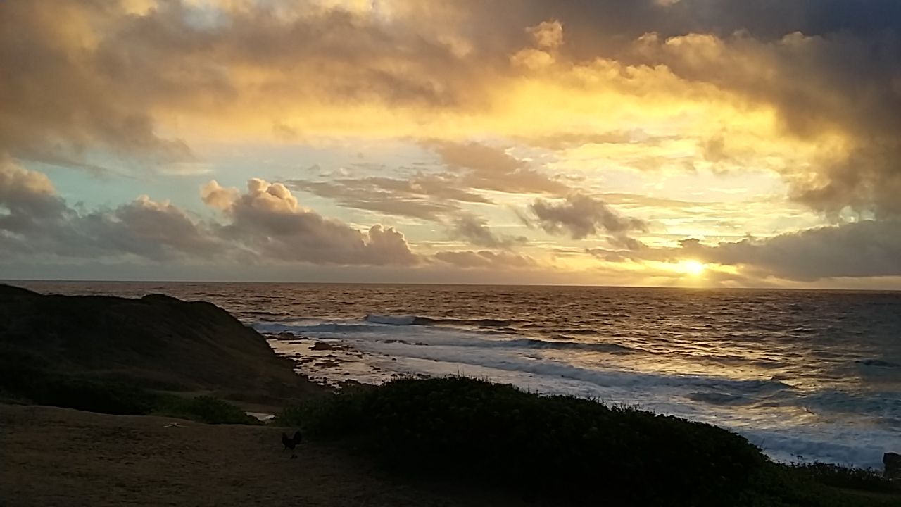 Ke Ala Hele Makalae Path in Kapaʻa, Kaua‘i photo 6