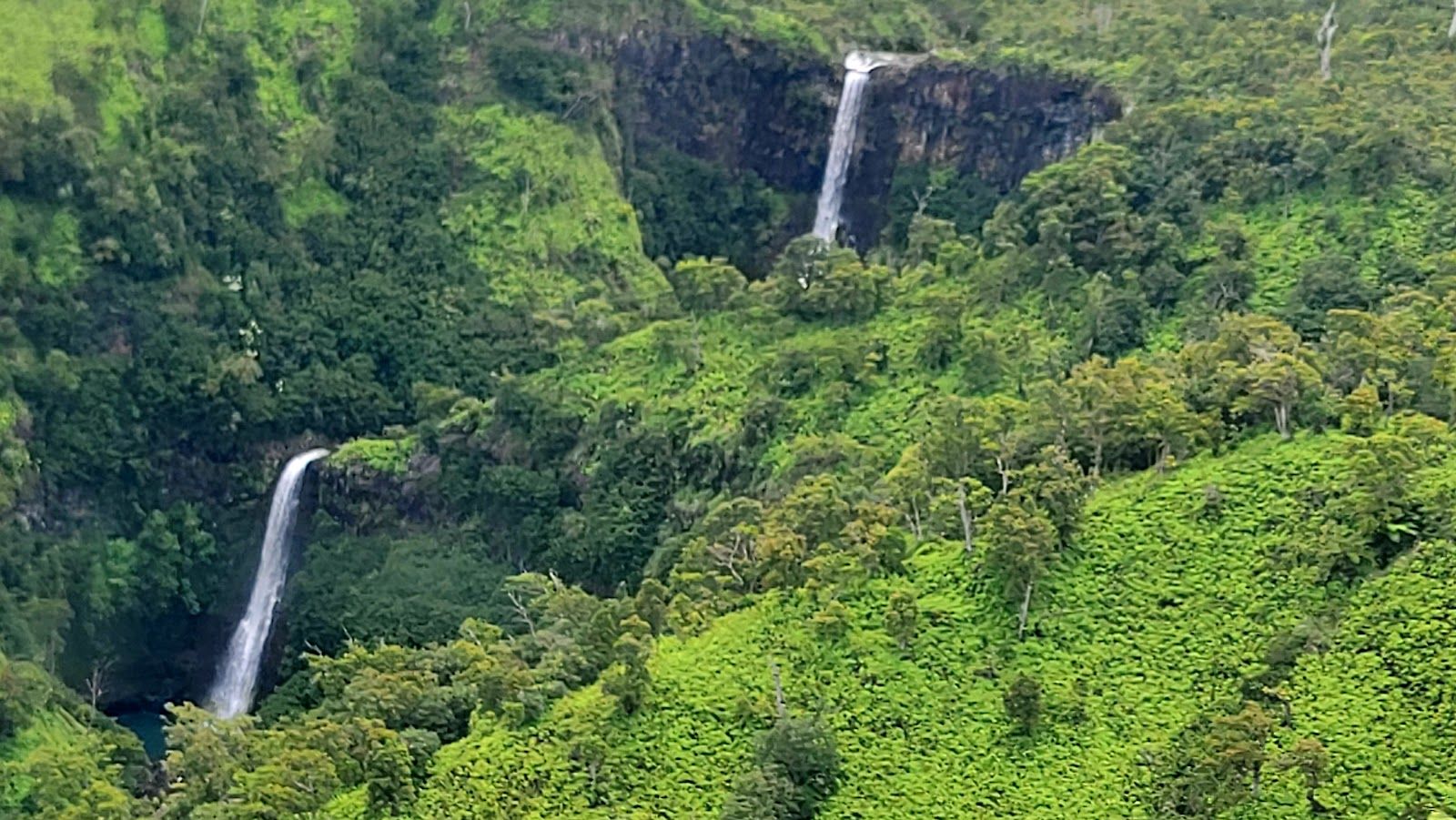 Air Kauai in Lihue, Kaua‘i photo 4