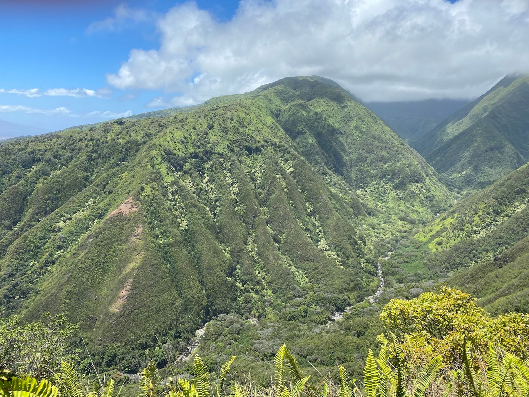 Photo 1 of Waihee Ridge Trail in Wailuku, Maui