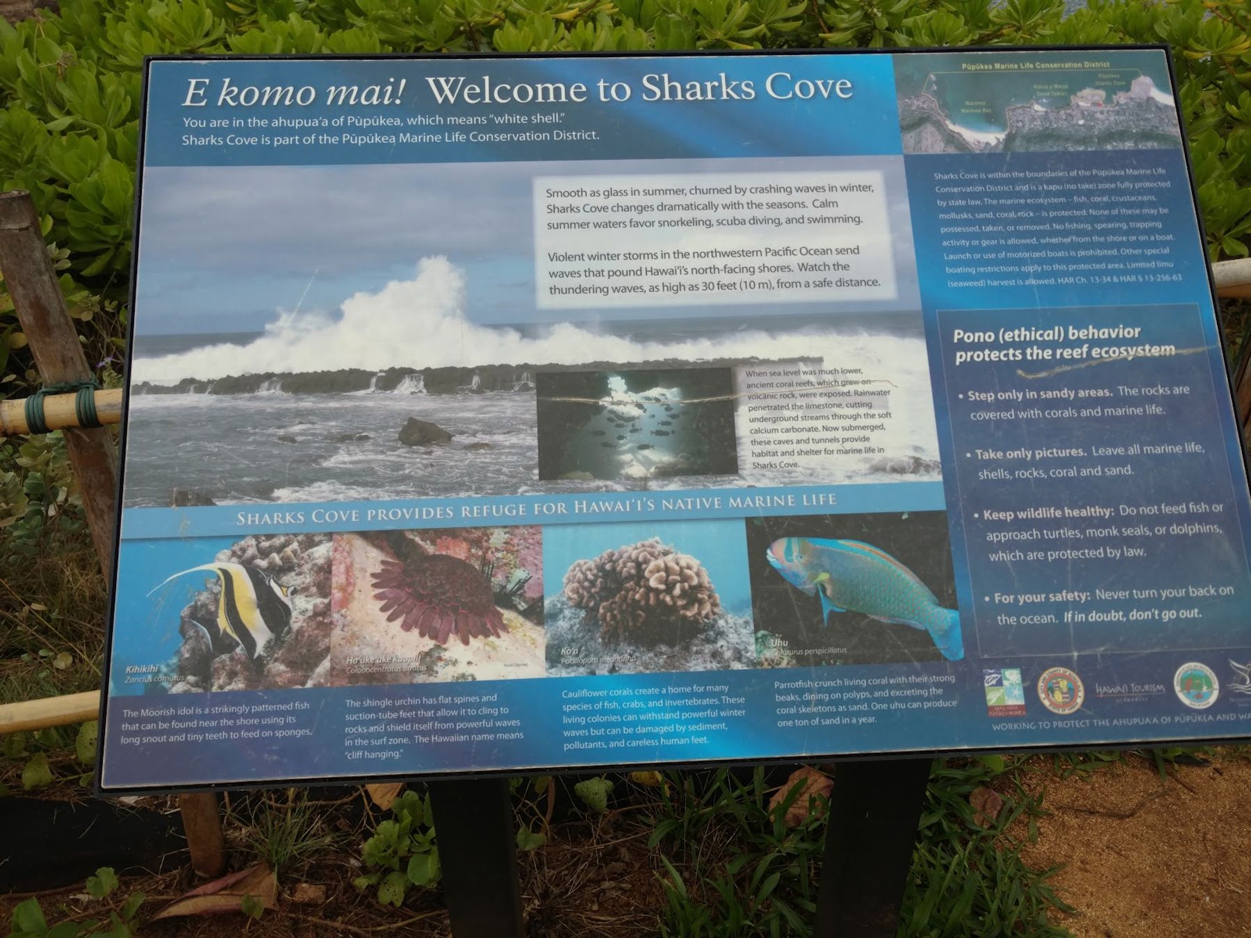 Photo 4 of Shark’s Cove in Pūpūkea, Oahu