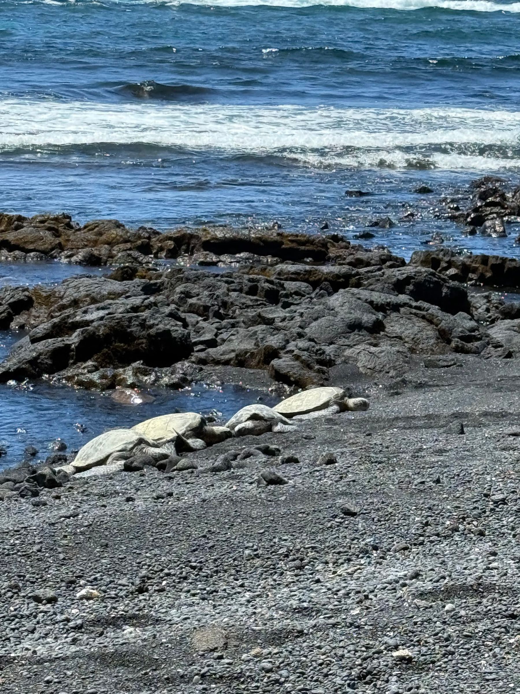 Photo 9 of Kailani Tours Hawaii in Kailua-Kona, Big Island