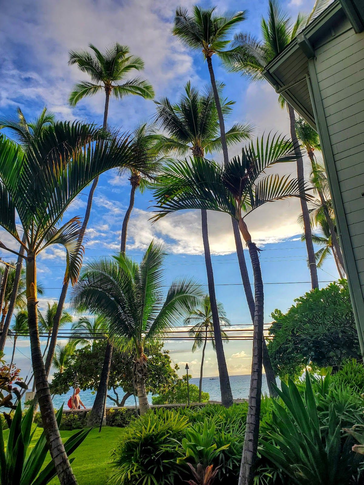 Photo 7 of Kona Islander Inn Hotel in Kailua-Kona, Big-island