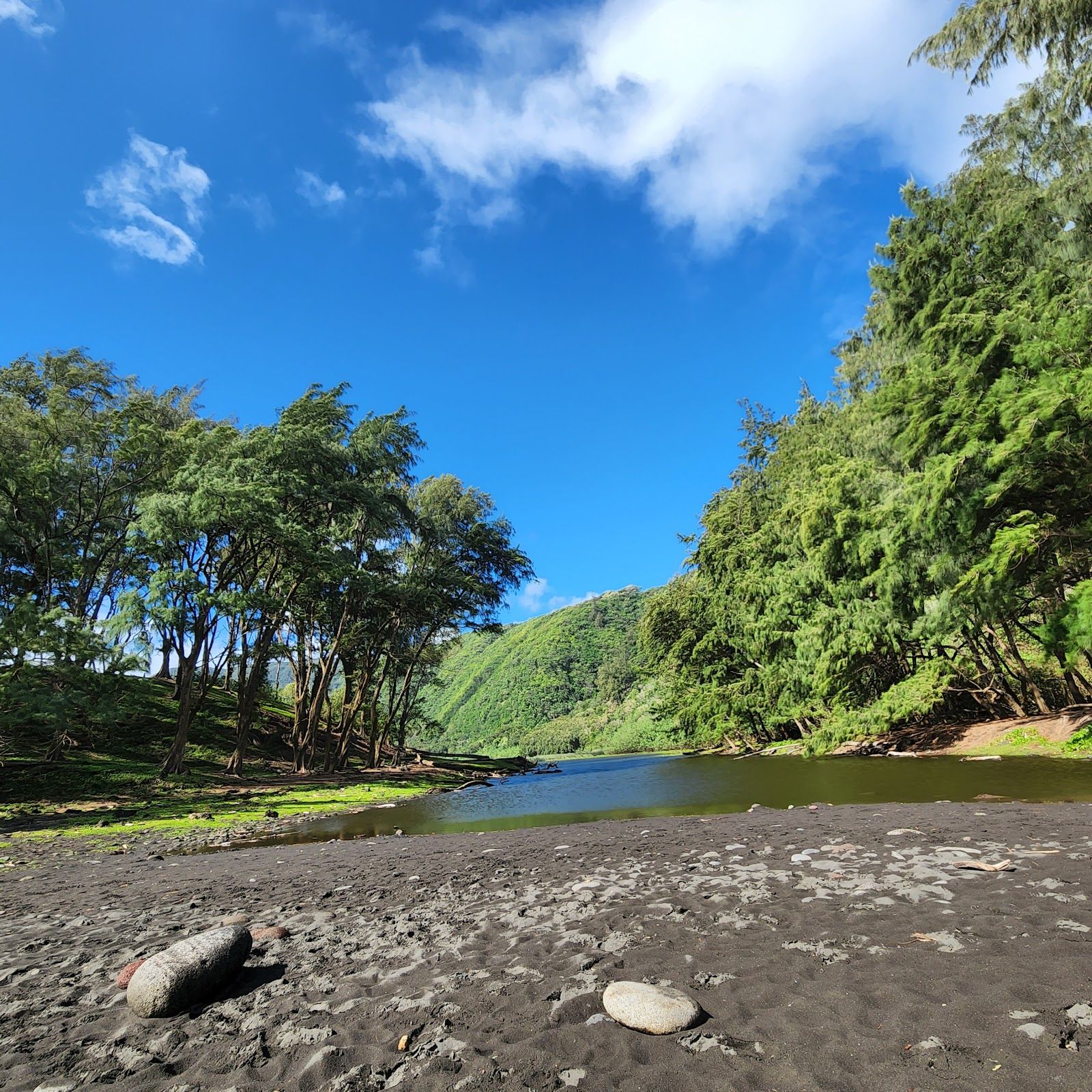 Photo 6 of Pololu Trail in North Kohala, Big Island