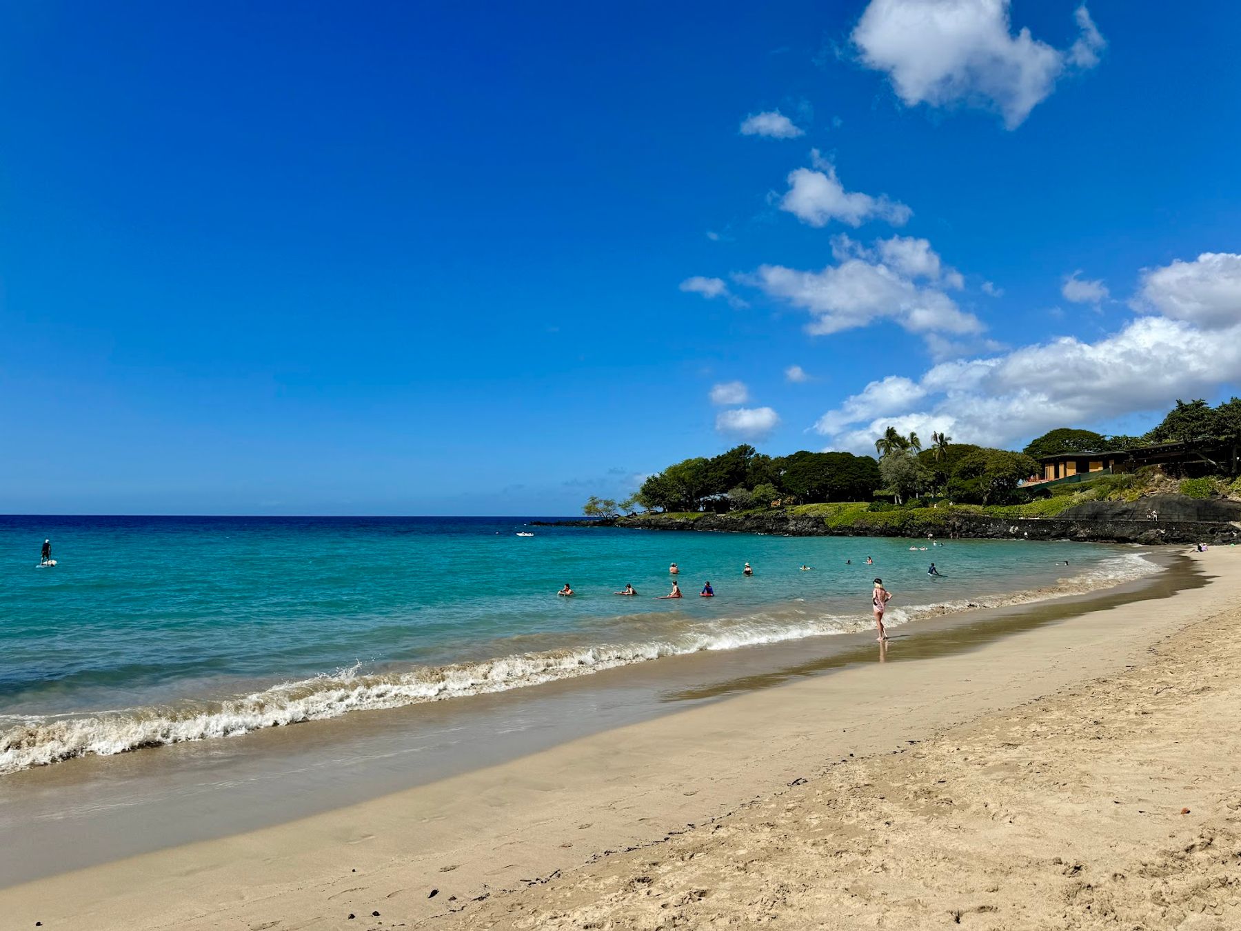Photo 5 of Hau Tree in Mauna Kea Beach, Big Island