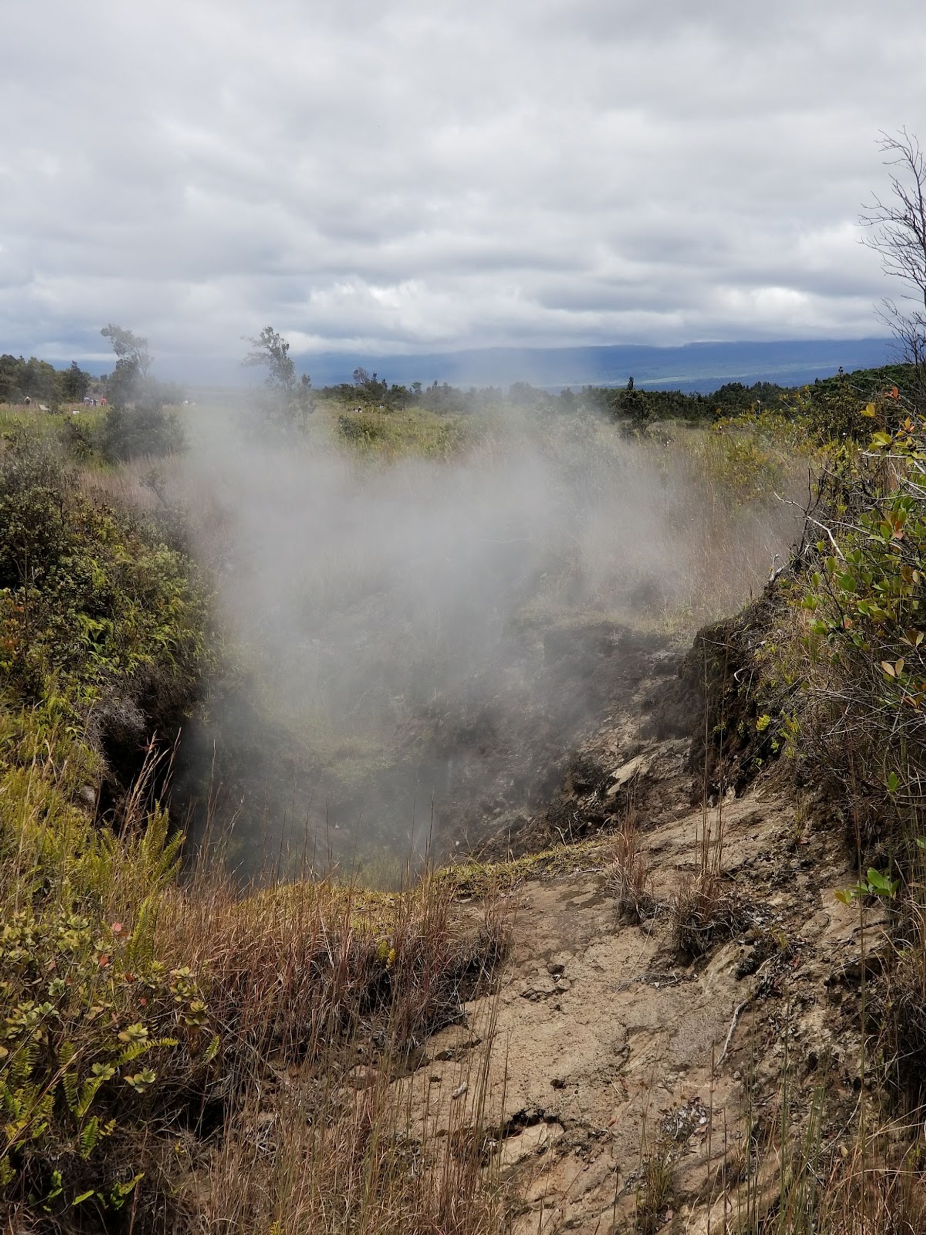 Photo 6 of Haʻakulamanu Sulphur Banks in Volcano, Big Island