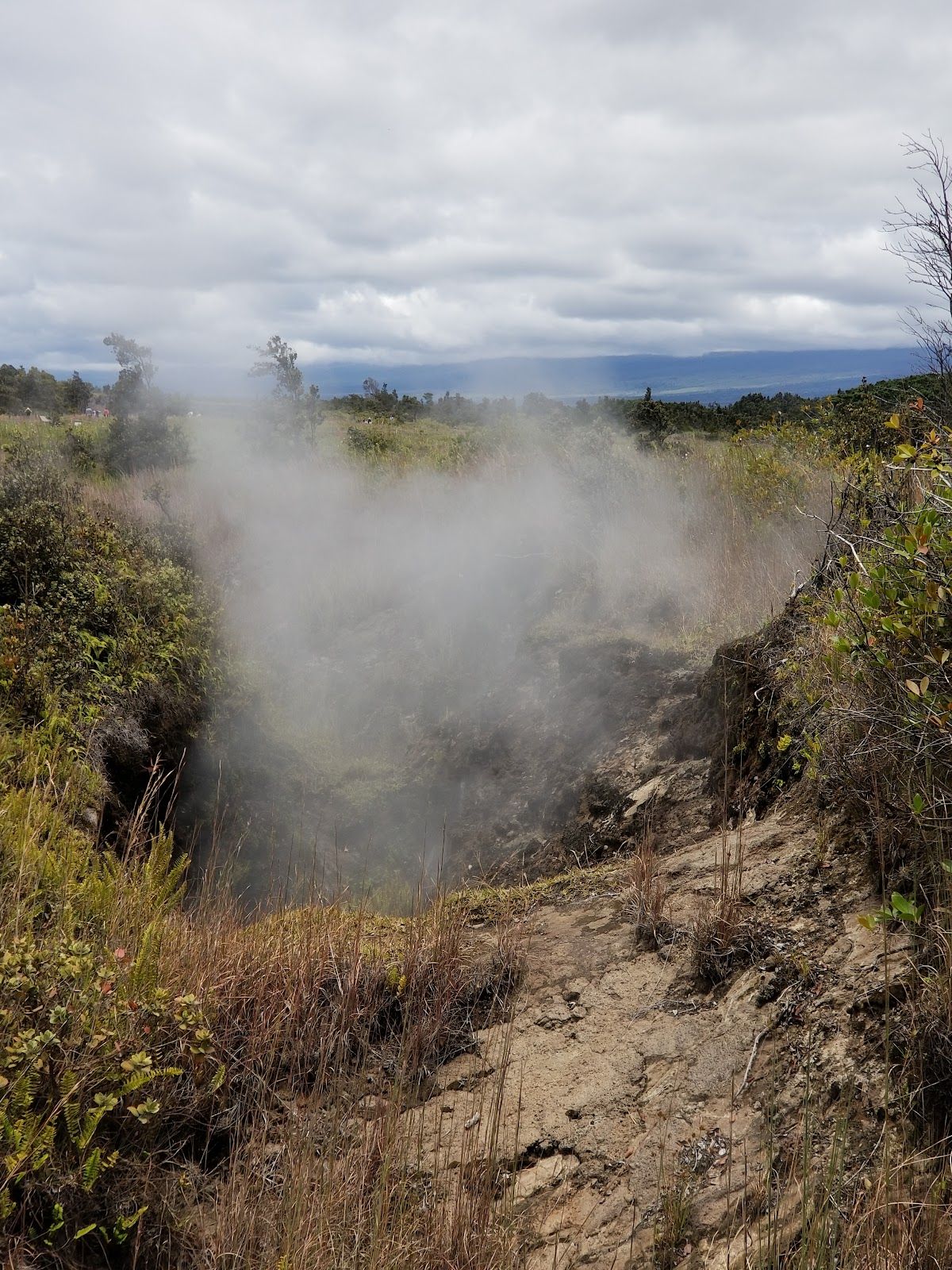 Photo 6 of Haʻakulamanu Sulphur Banks in Volcano, Big Island