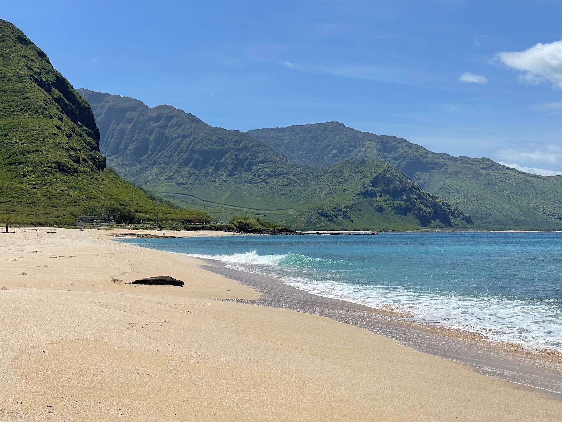 Photo 2 of Kaʻena Point State Park in Waialua & Mokulēʻia, Oahu
