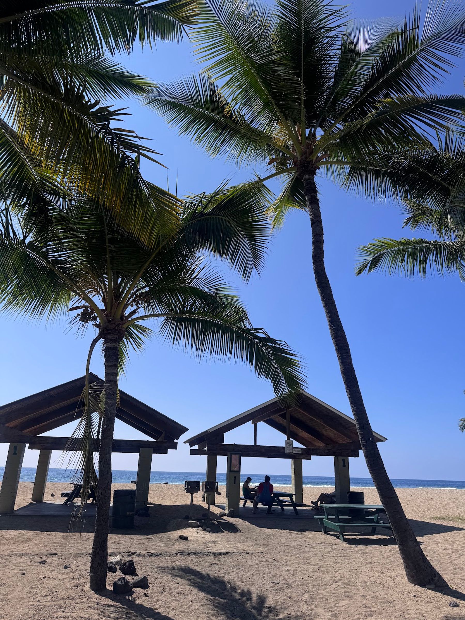 Photo 9 of Old Kona Airport State Recreation Area in Kailua-Kona, Big Island