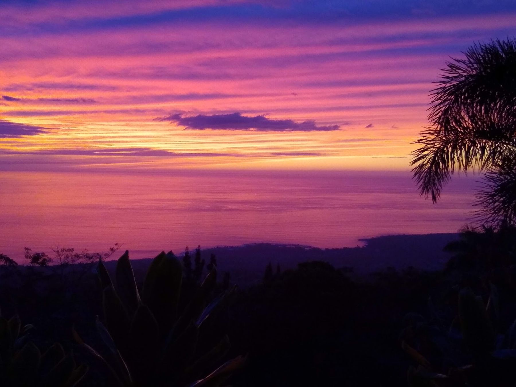 Photo 8 of Aloha Guest House Bed and Breakfast in South Kona, Big-island