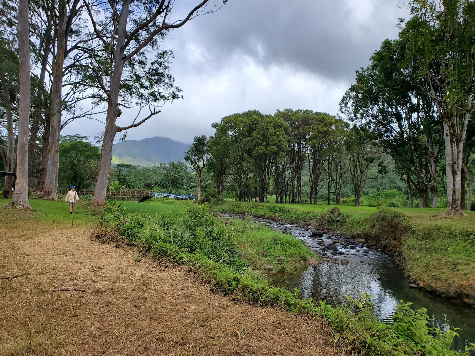 Keahua Arboretum in Kapaʻa, Kaua‘i photo 2