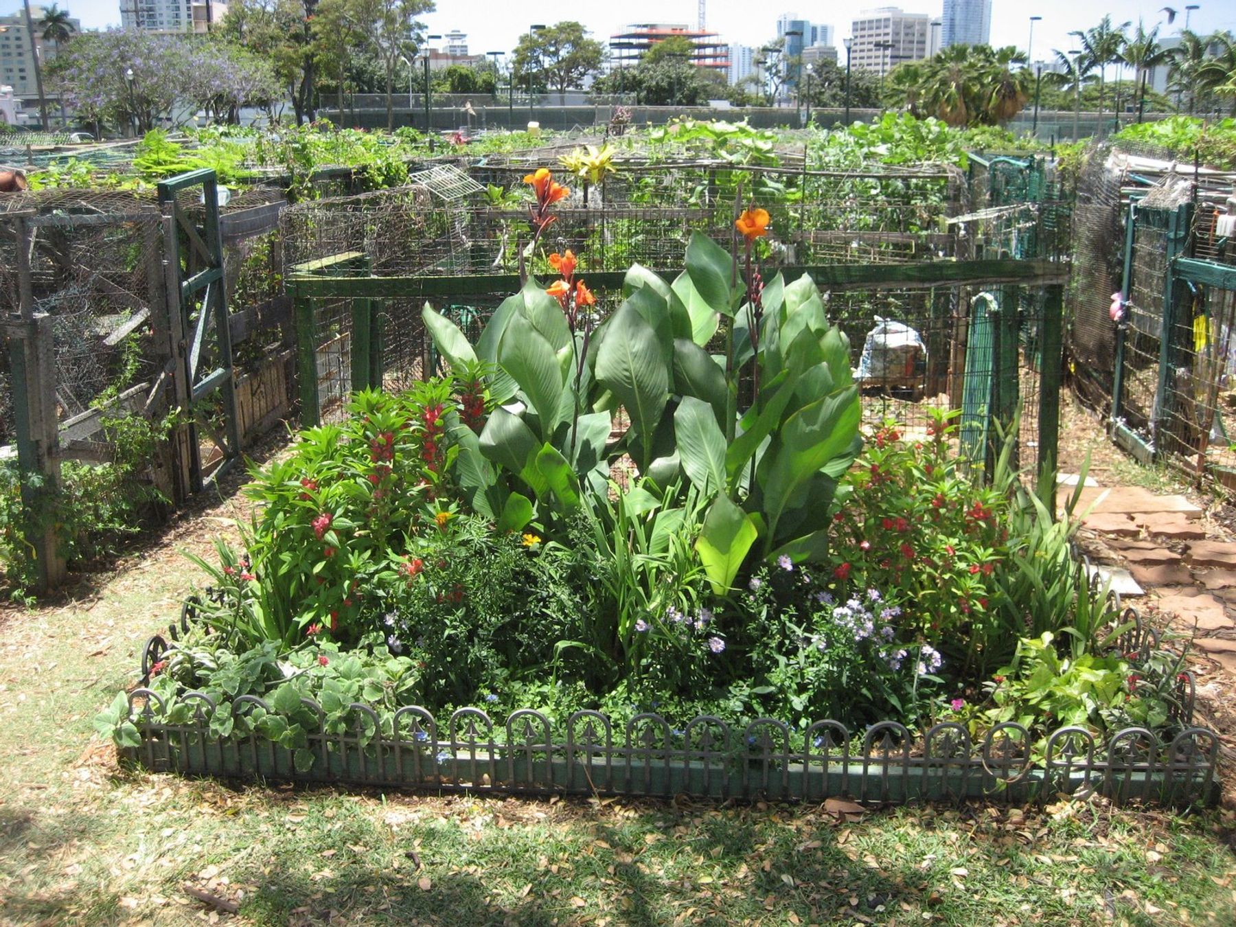 Photo 9 of Makiki District Park in Mānoa, Makiki & Nuʻuanu, Oahu