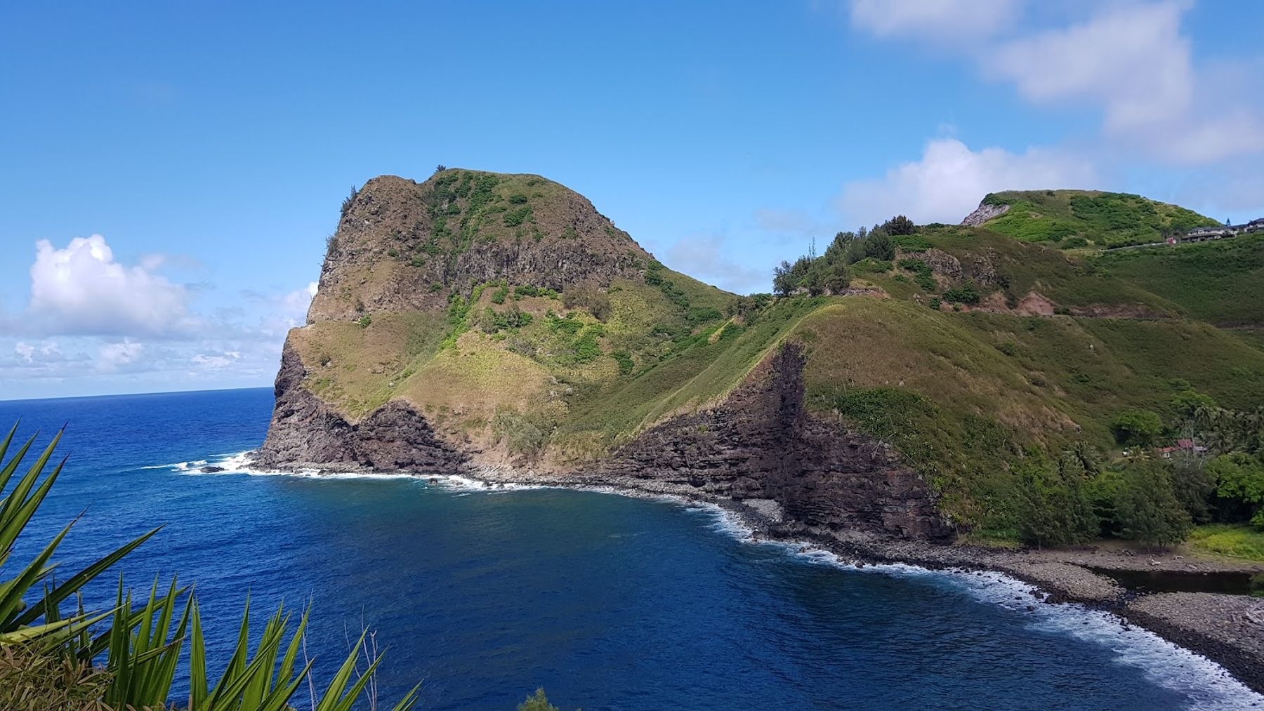 Photo 8 of Braddah Chic's Stop in Wailuku, Maui