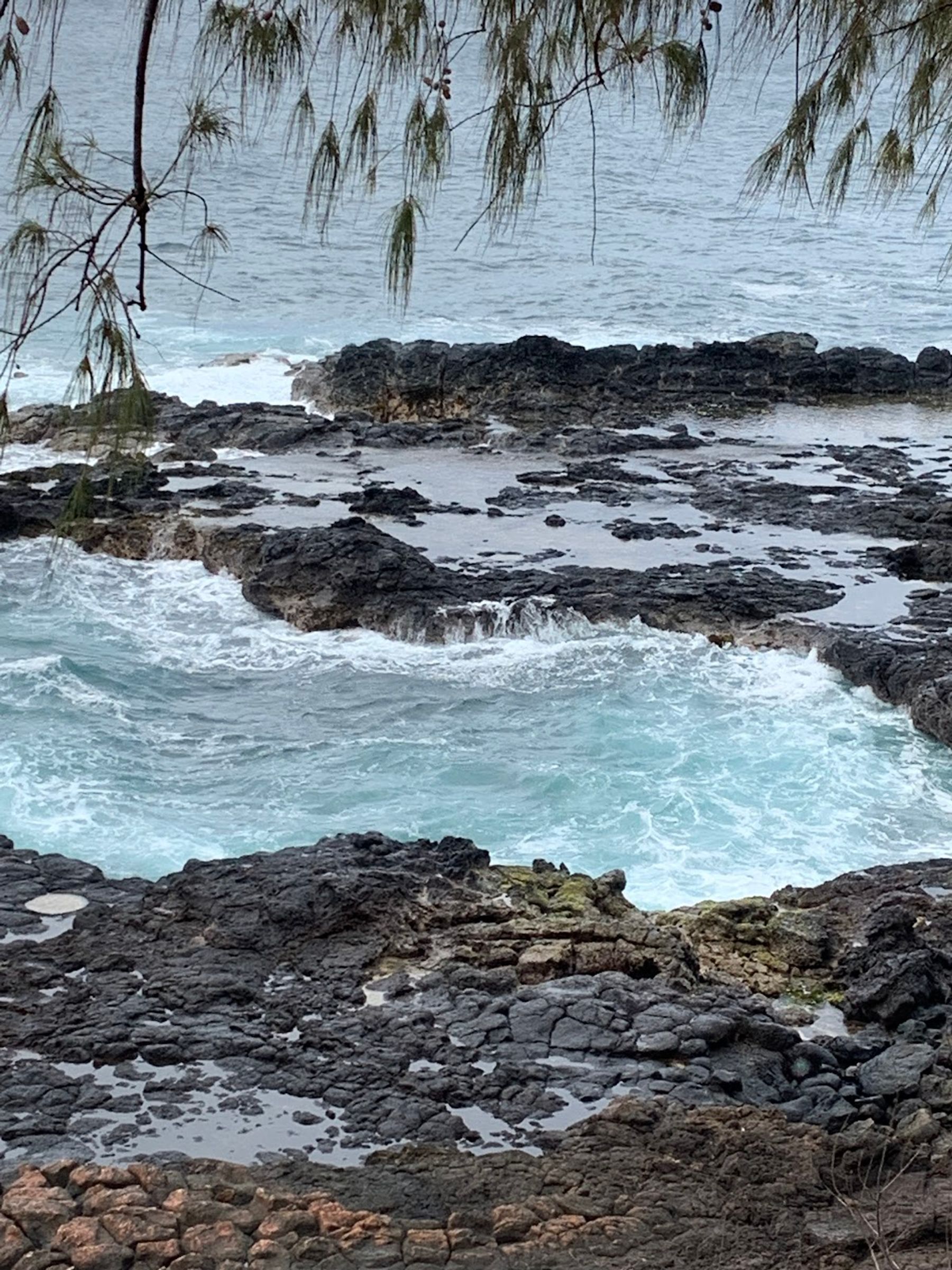Photo 9 of Clark's Hawaii Tours in Kailua-Kona, Big Island