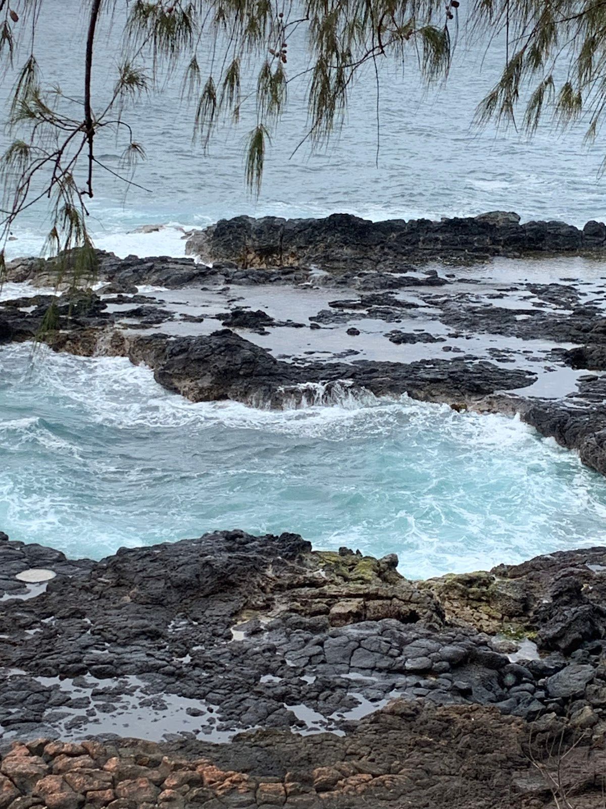 Photo 9 of Clark's Hawaii Tours in Kailua-Kona, Big Island